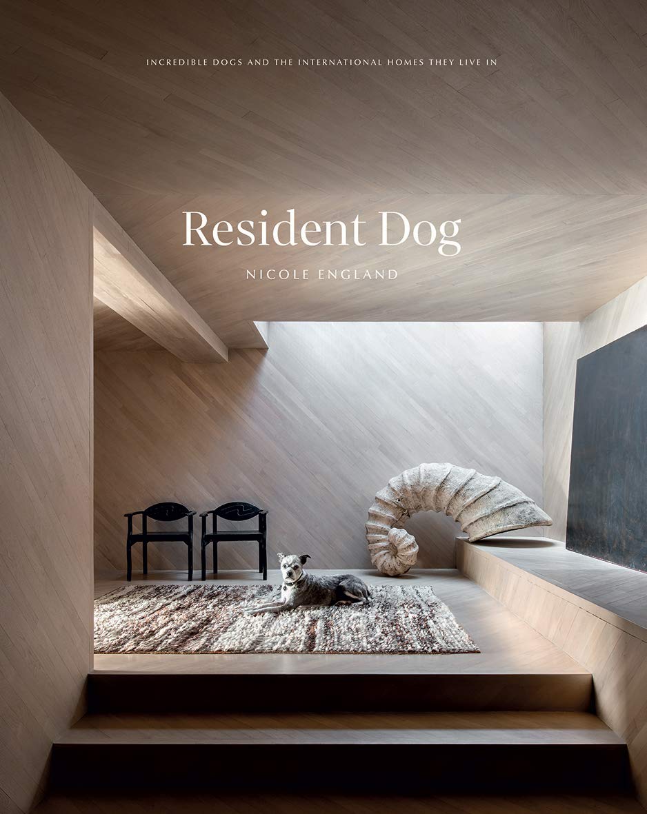 Product Image: Resident Dog