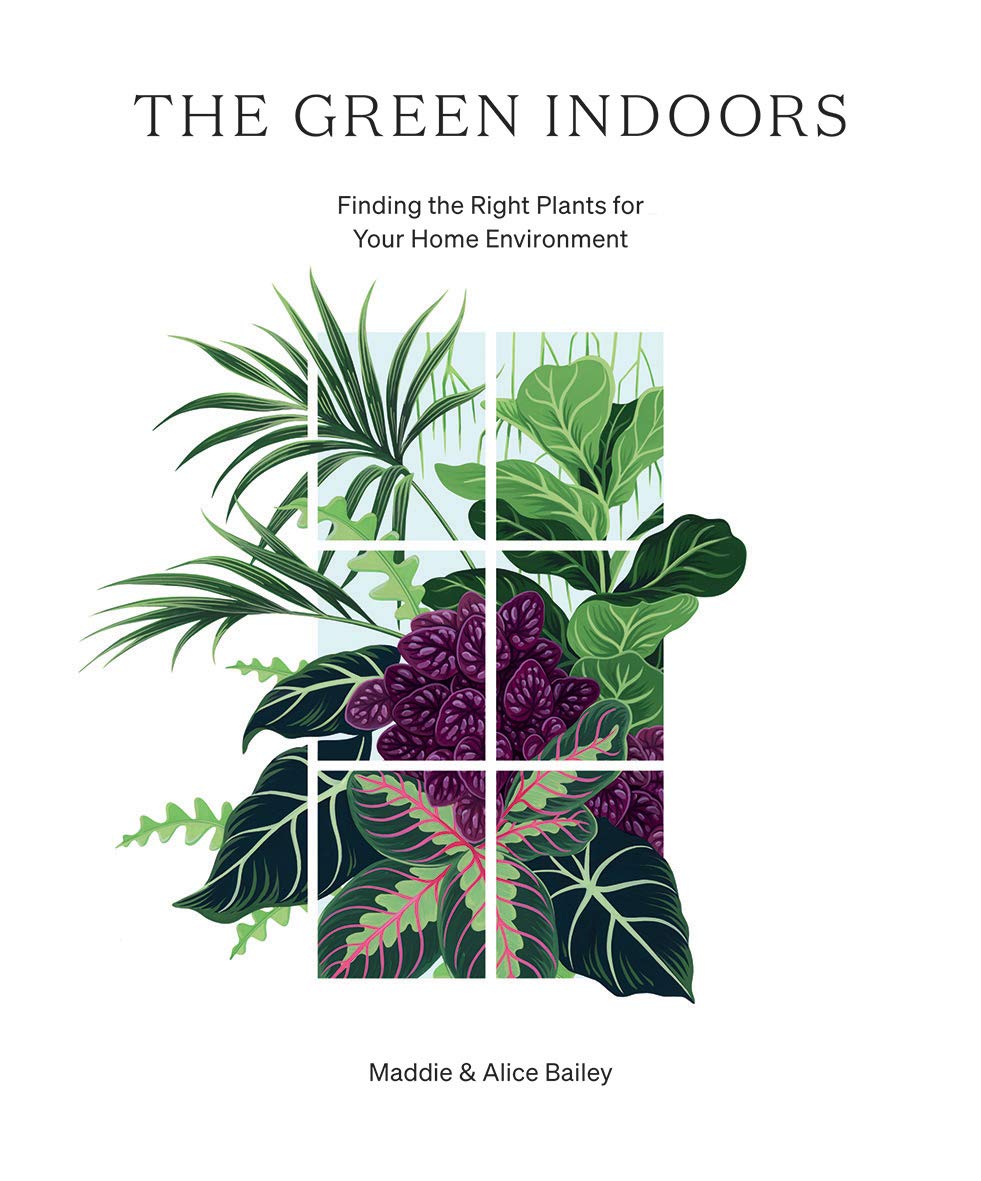 The Green Indoors: Finding the Right Plants for Your Home Environment Garden & Plants