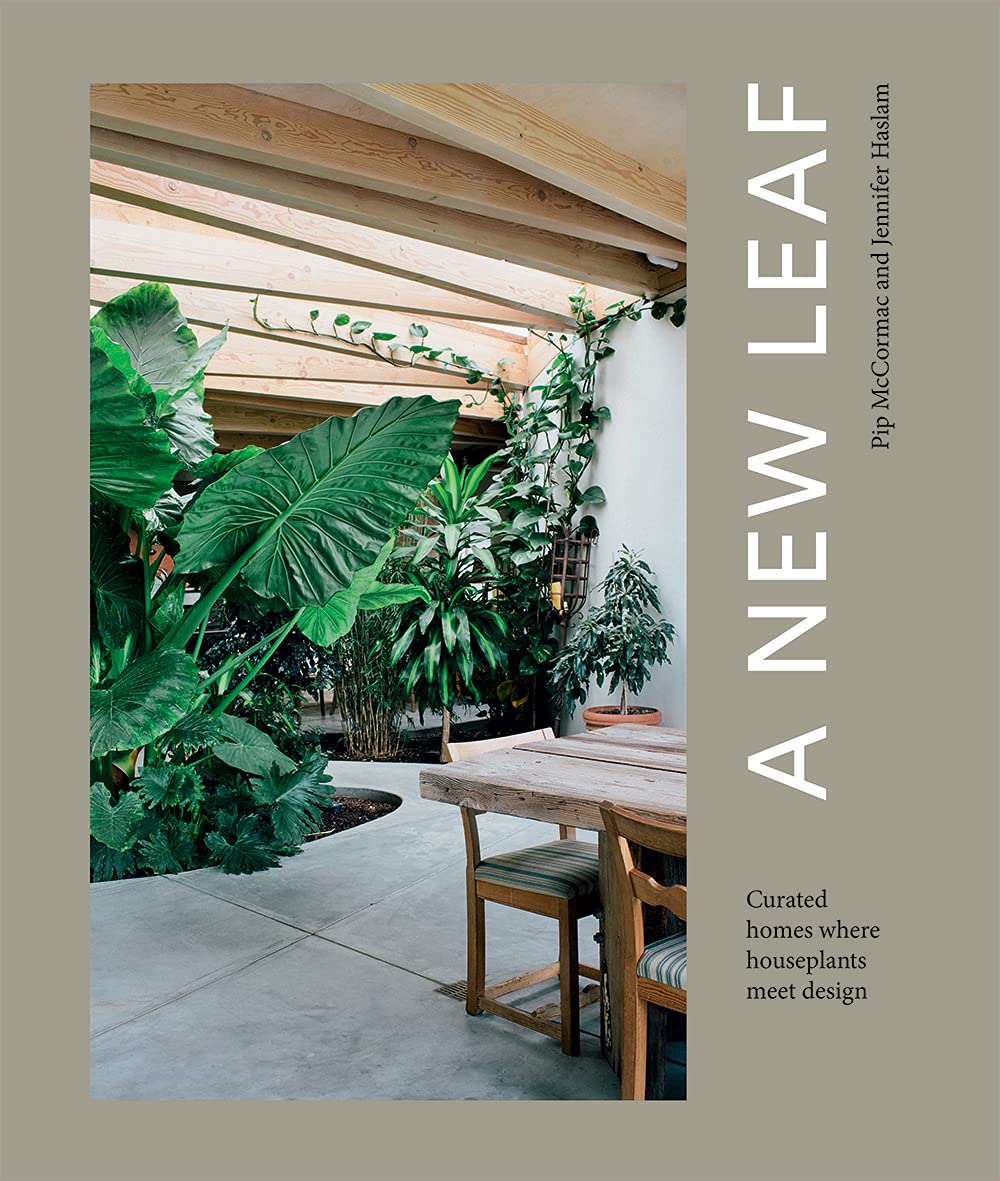A New Leaf: Curated Homes Where Houseplants Meet Design Hobbies & Crafts
