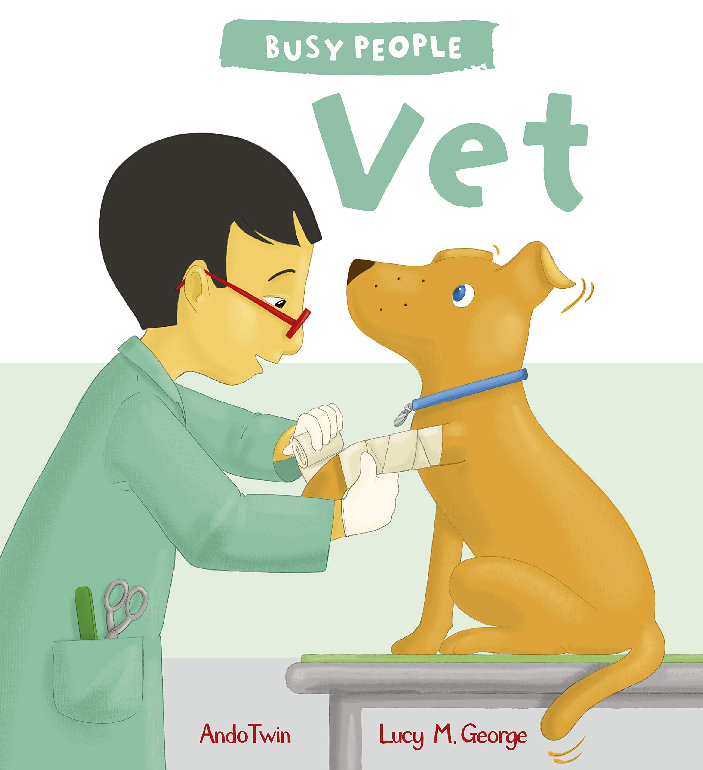Busy People: Vet: 1 book