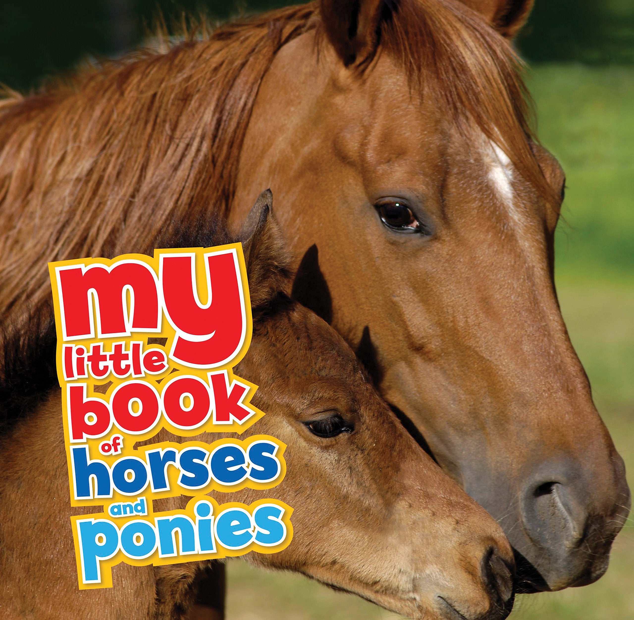 My Little Book of Horses and Ponies Non-fiction