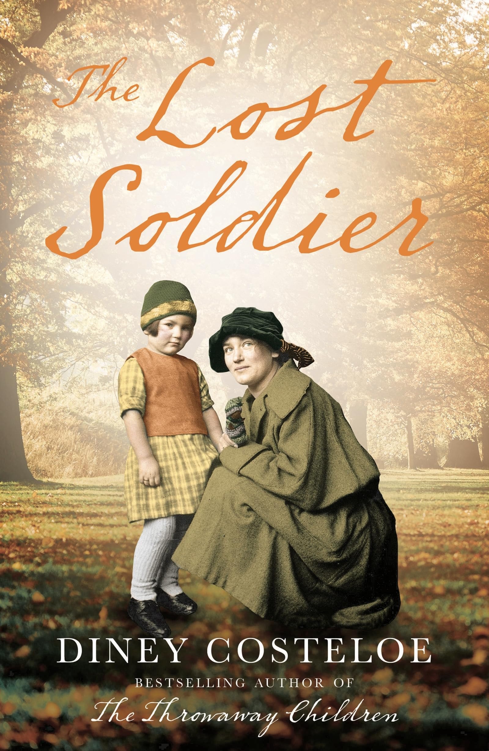 Product Image: The Lost Soldier