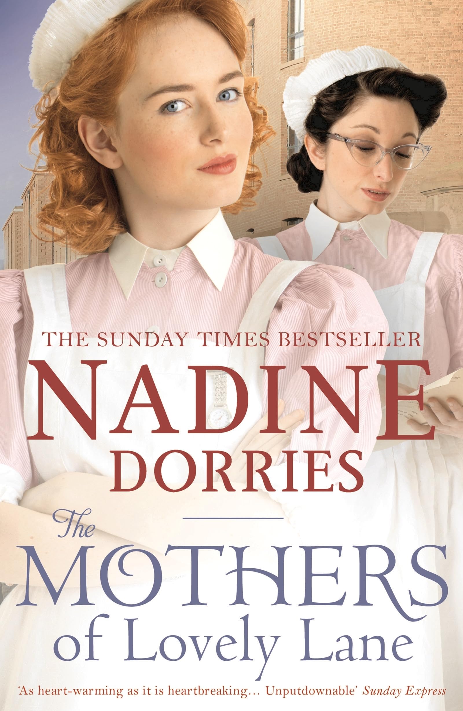 The Mothers of Lovely Lane book
