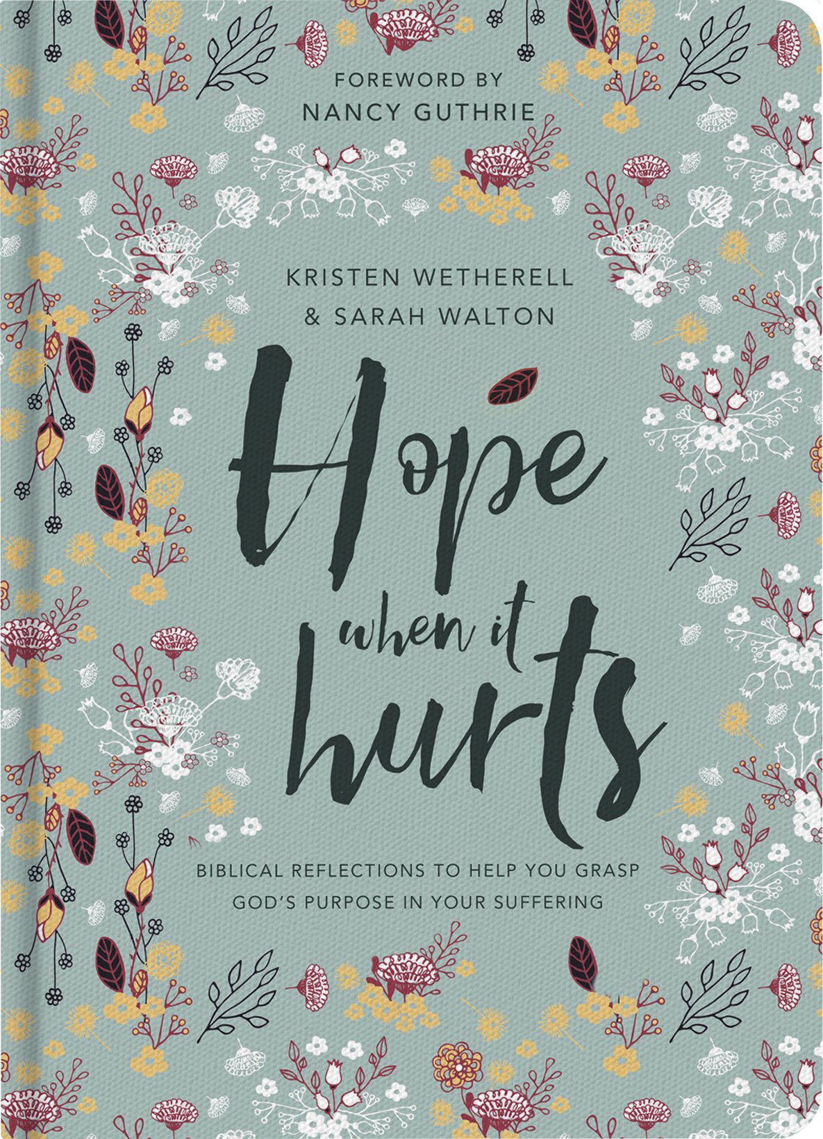 Hope When It Hurts: Biblical reflections to help you grasp God's purpose in your suffering Film, Art & Culture