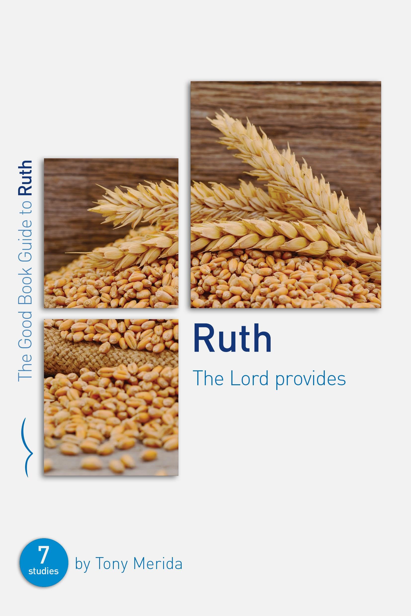 Ruth: The Lord Provides: Seven Studies for Groups and Individuals (Good Book Guides) Social Sciences