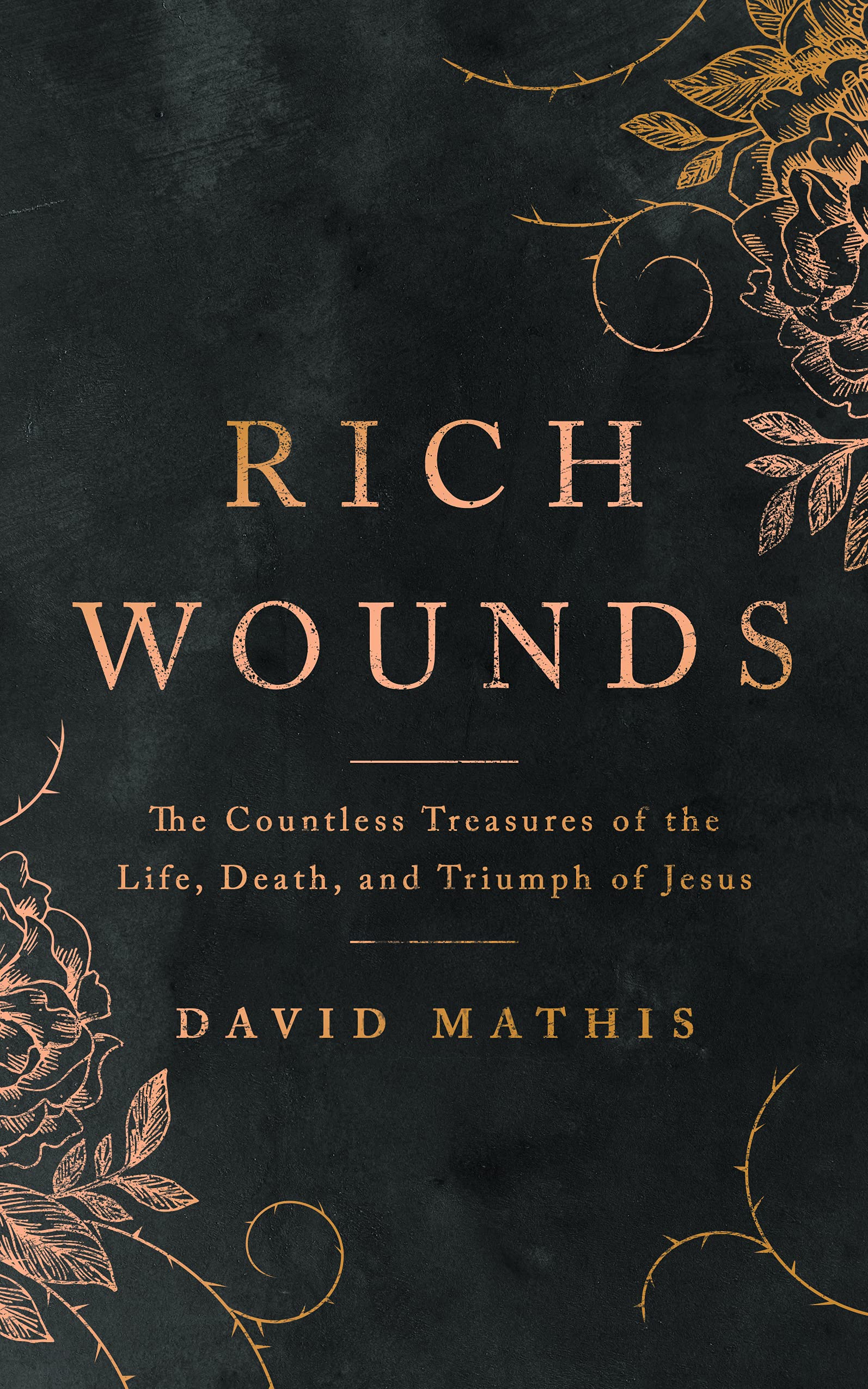 Rich Wounds: The Countless Treasures of the Life, Death, and Triumph of Jesus Religion & Esotericism