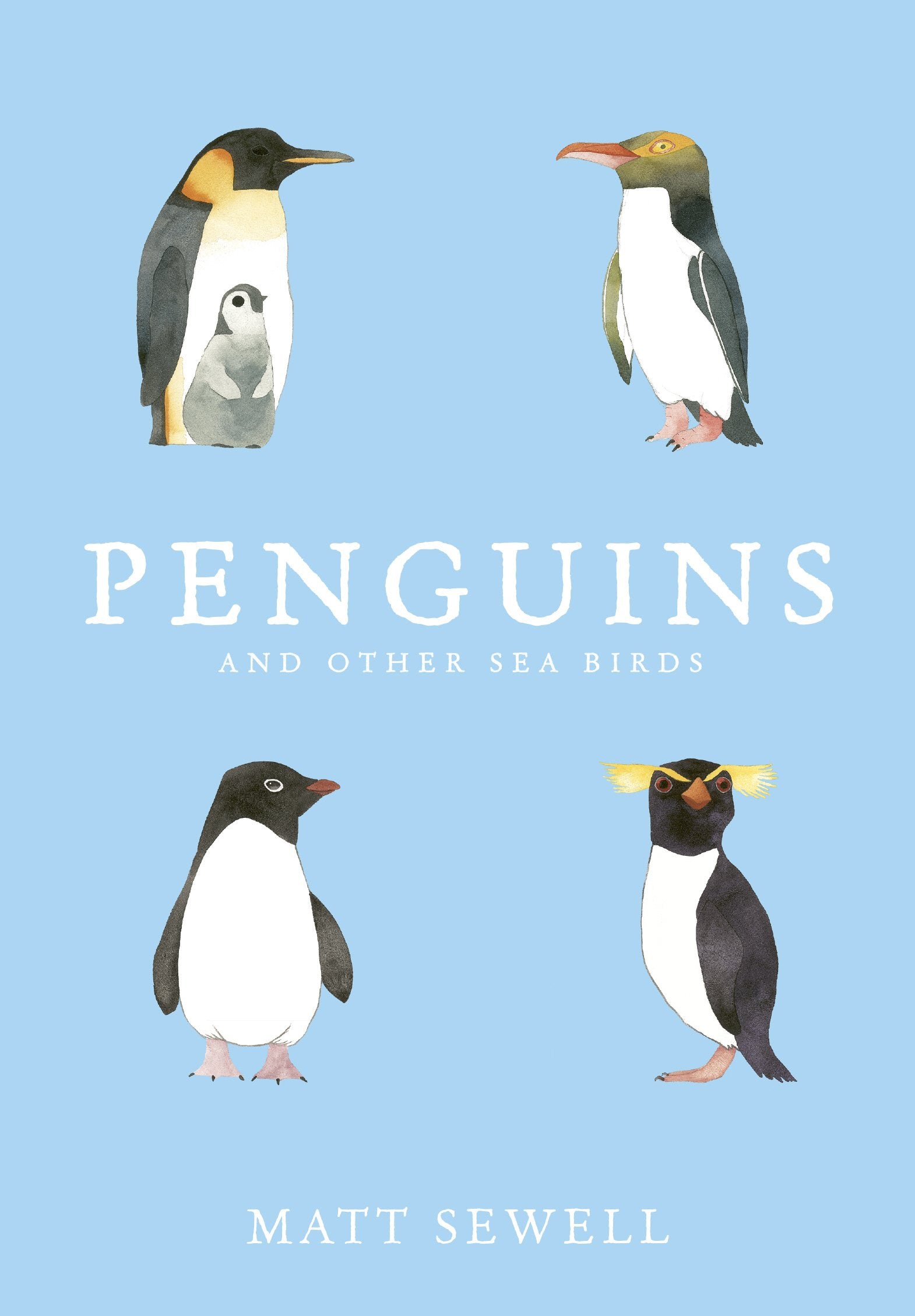 Penguins and Other Sea Birds Film, Art & Culture