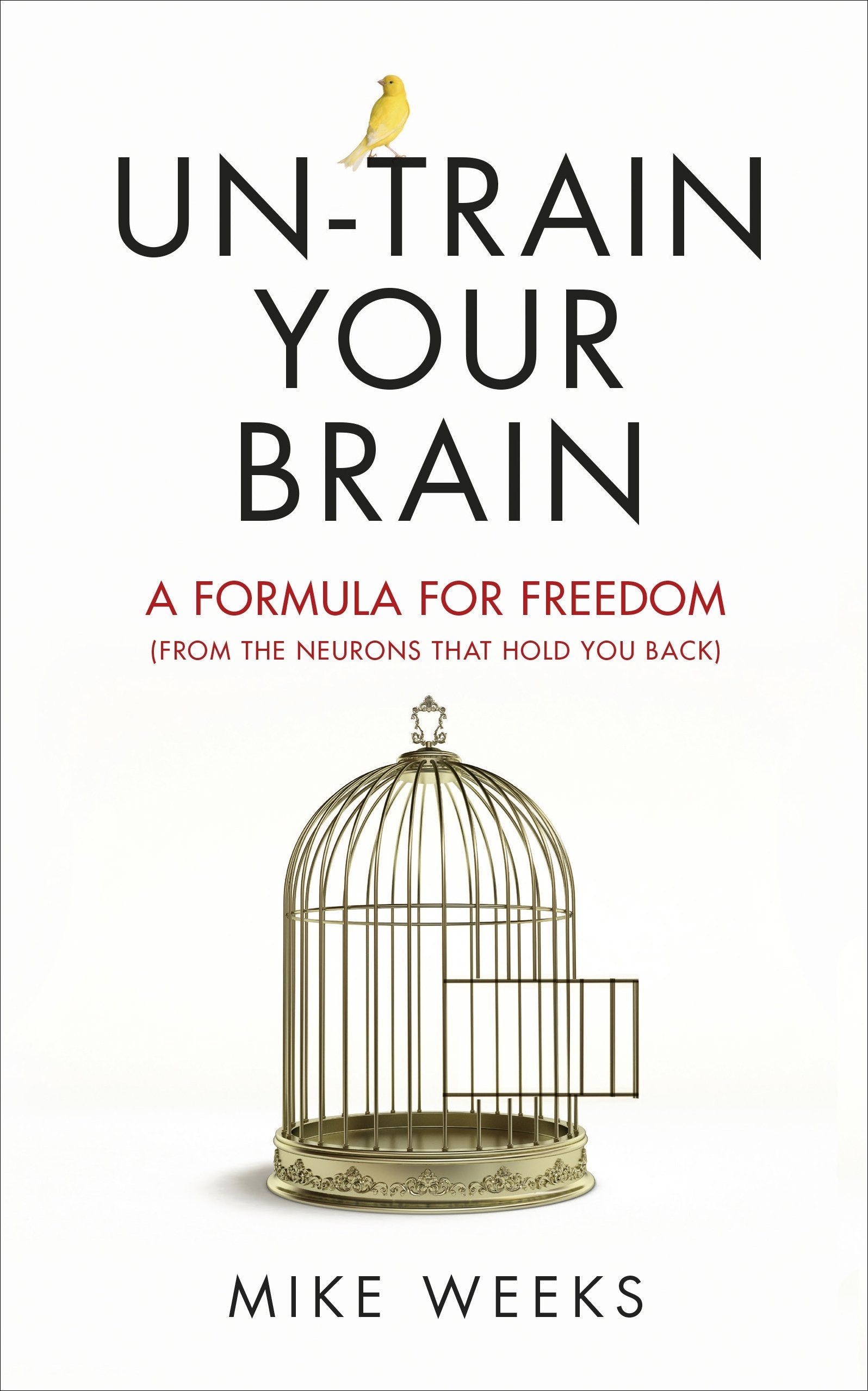Un-train Your Brain: A formula for freedom (from the neurons that hold you back) book