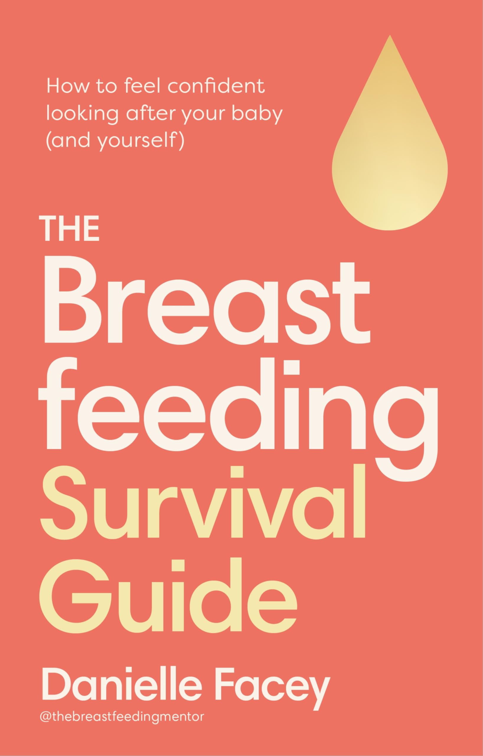 The Breastfeeding Survival Guide: How to feel confident looking after your baby (and yourself) Parents & Children