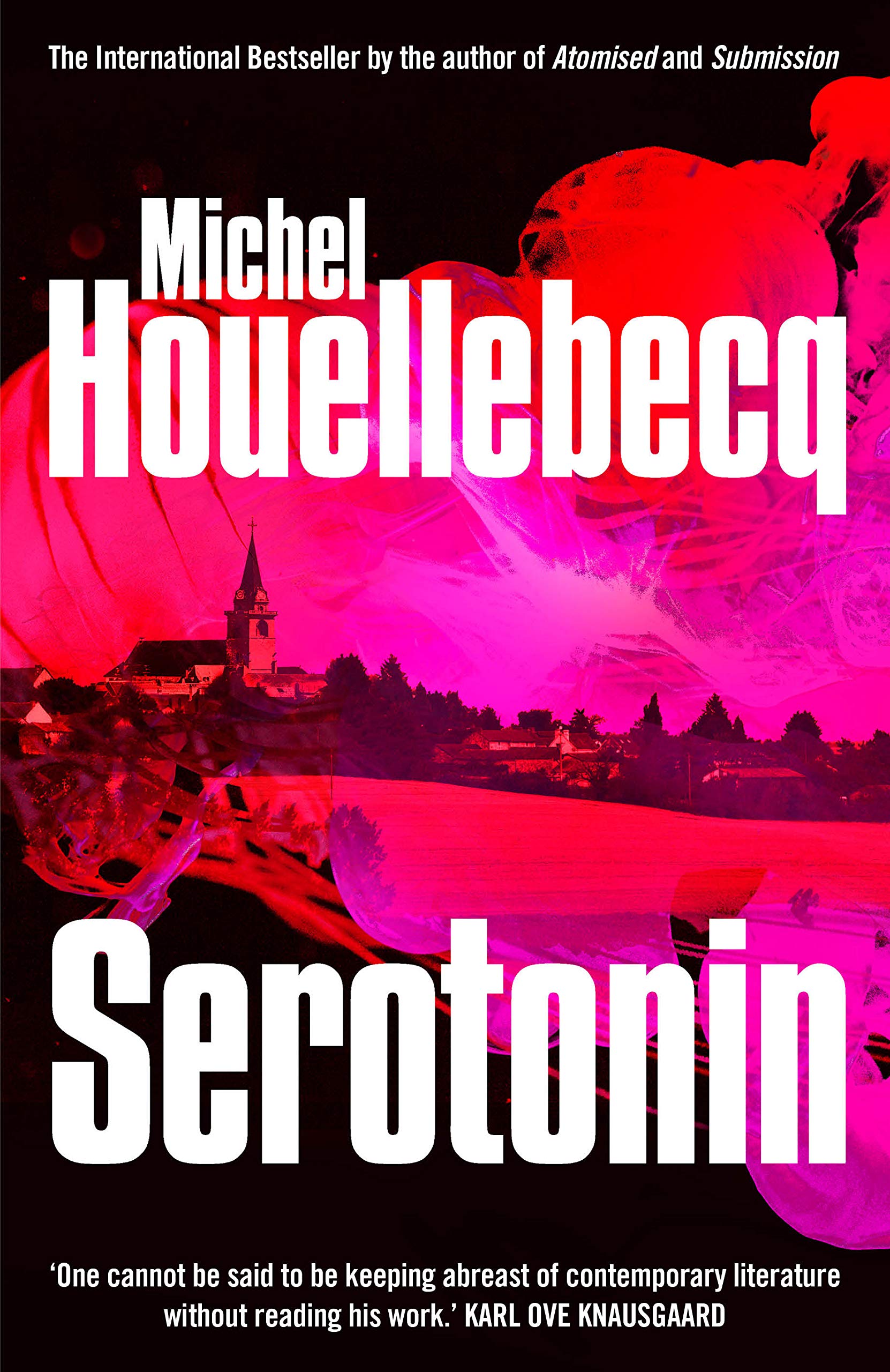 Serotonin: Michel Houellebecq Contemporary literature