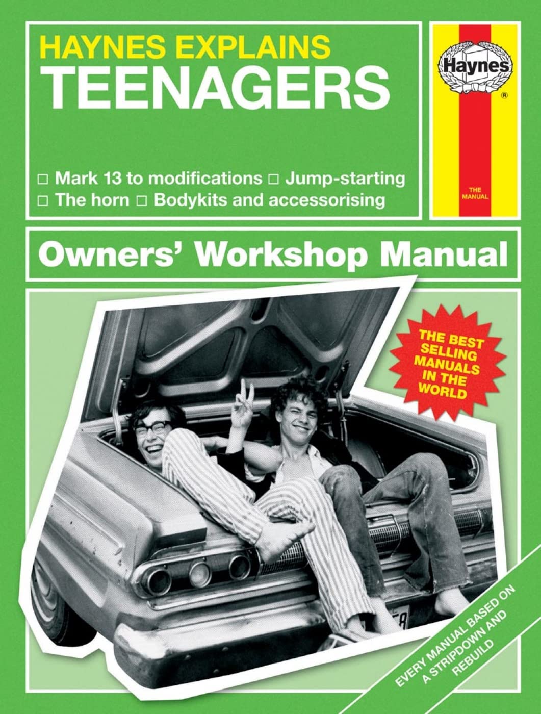 Teenagers: Haynes Explains (Haynes Owners' Workshop Manual) Humour & Satire
