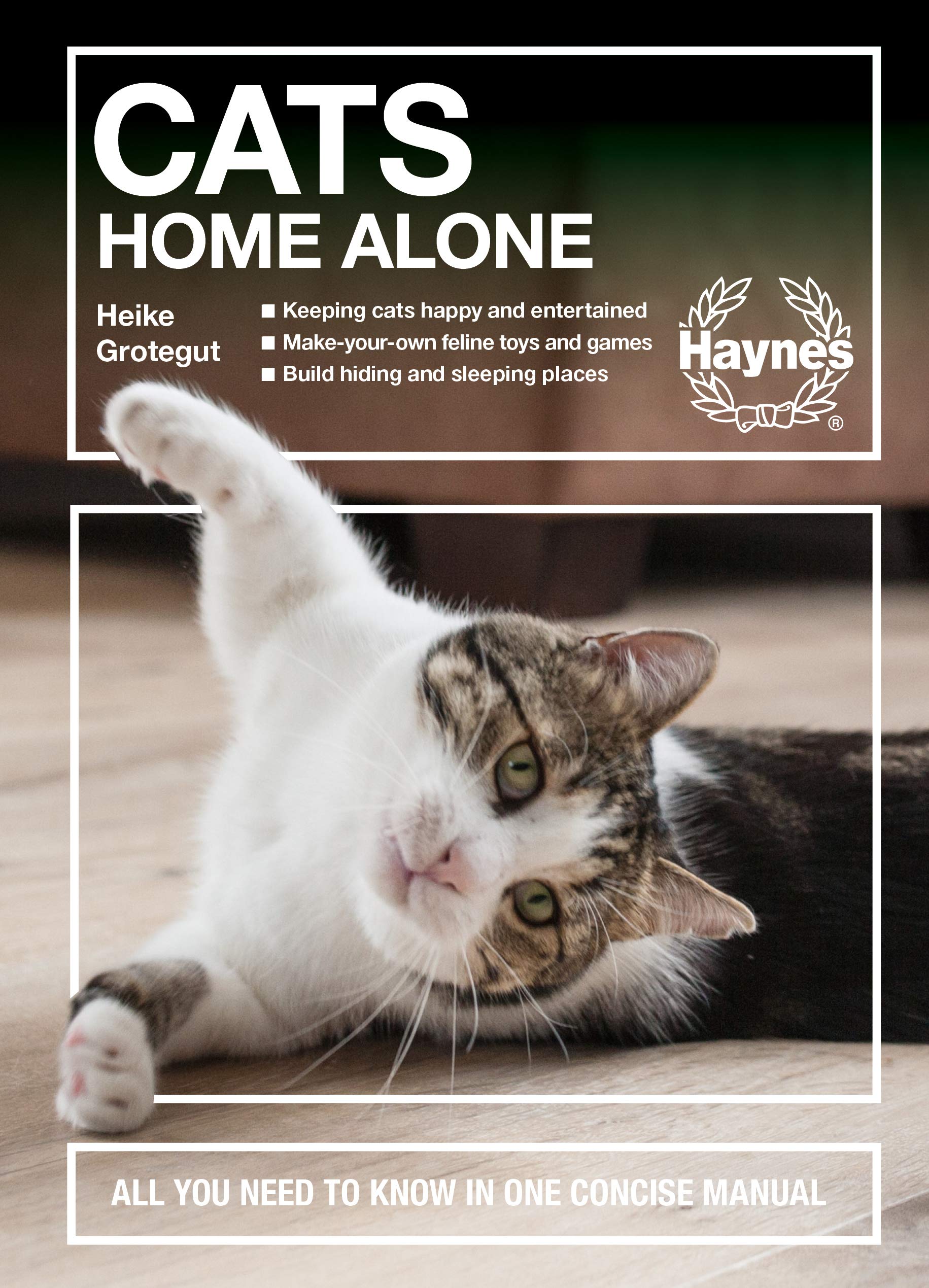 Product Image: Cats Home Alone