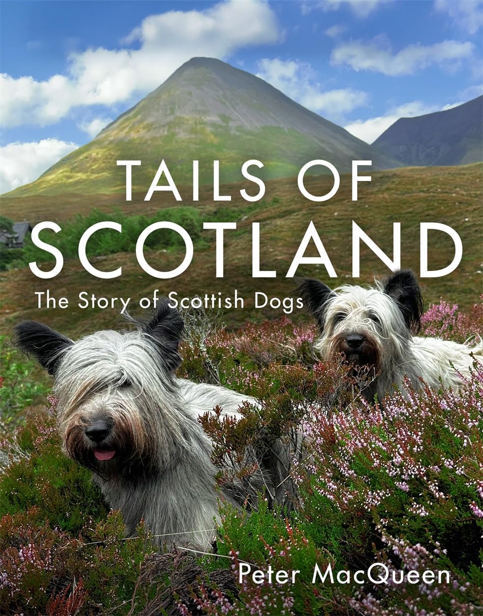 Tails of Scotland: The Story of Scottish Dogs Pets