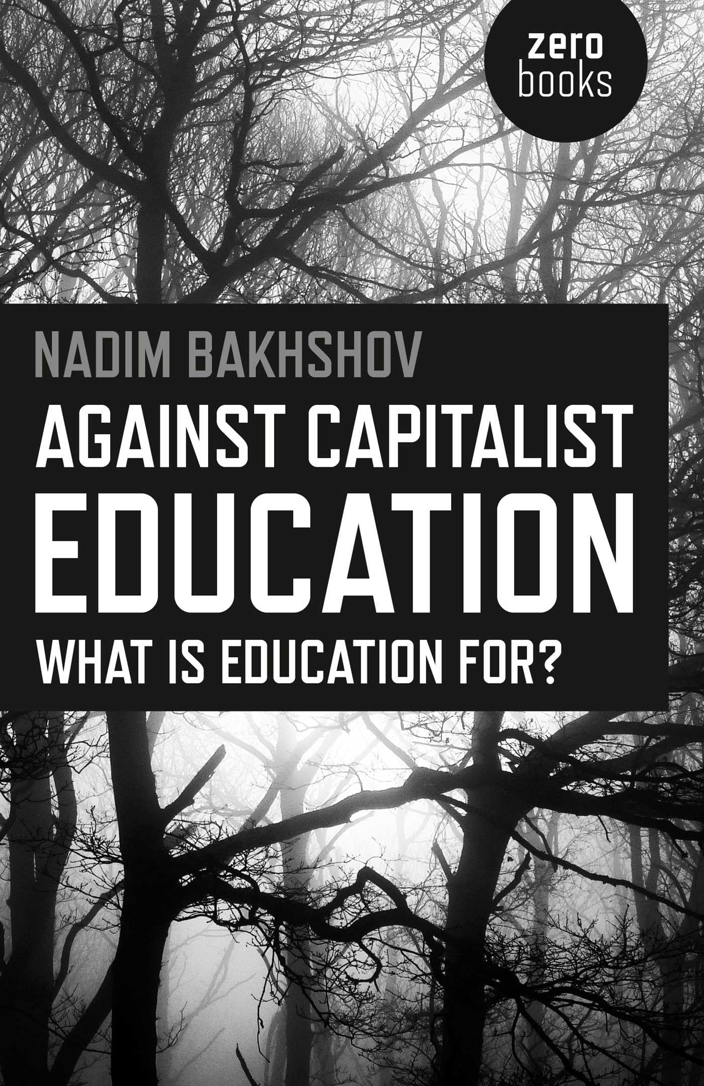 Against Capitalist Education: What is Education for? Philosophy