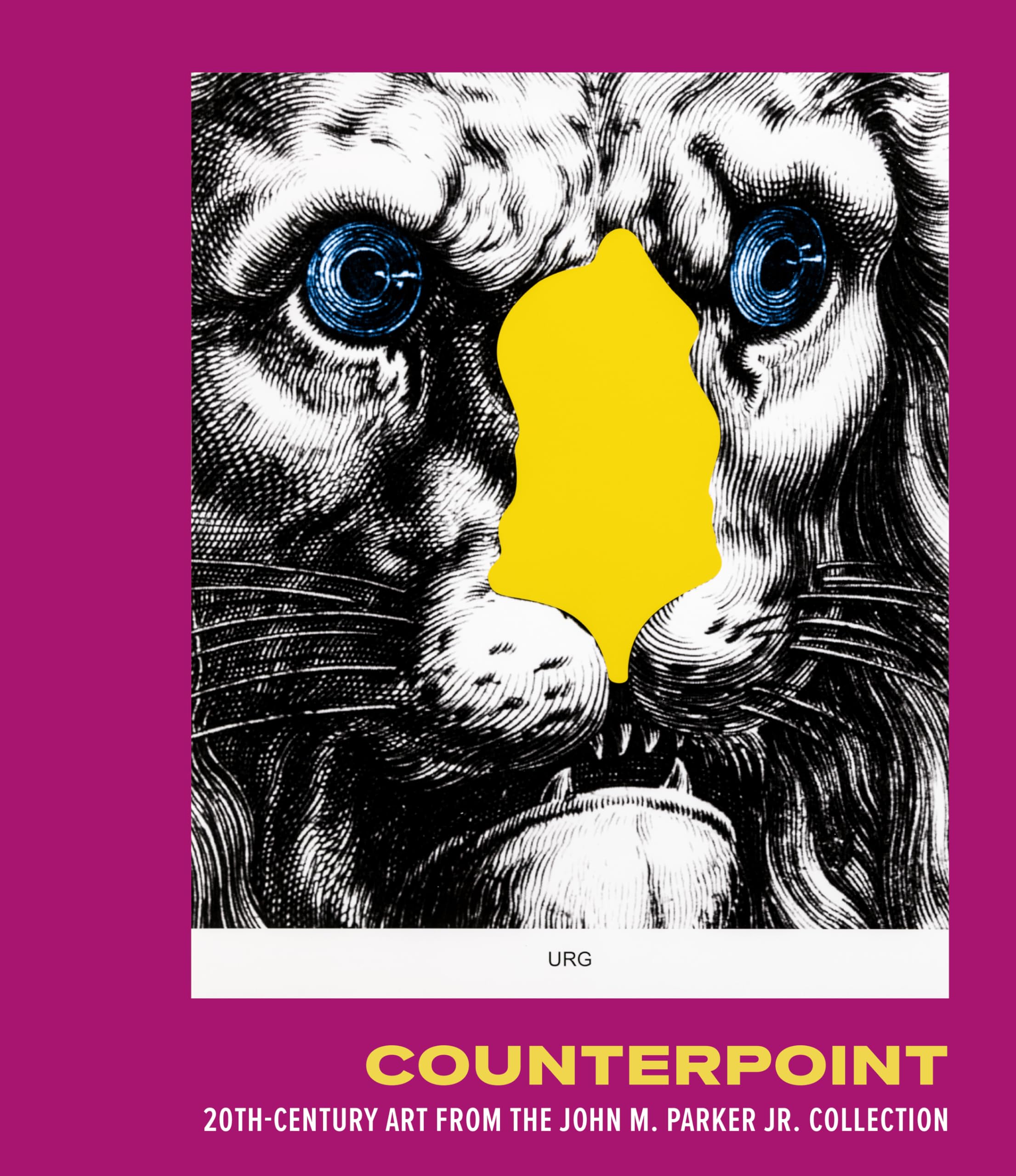 Counterpoint: 20th-century Art from the John M. Parker Jr. Collection Social Sciences
