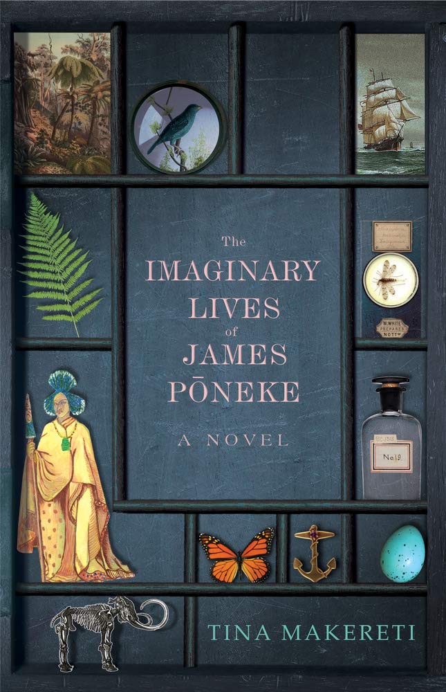 The Imaginary Lives of James Poneke book