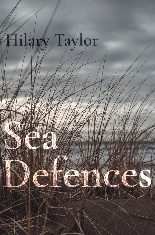 Sea Defences: Two Mothers at War With the Elements and Each Other Contemporary literature