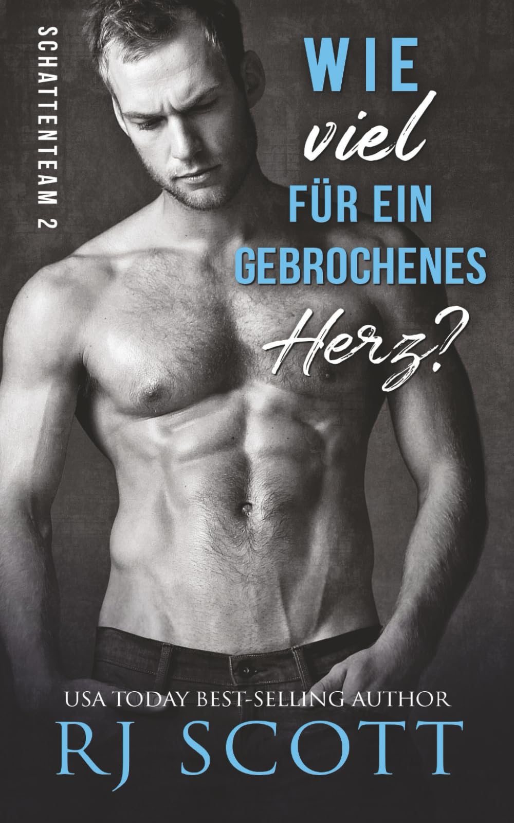 Wie viel für ein gebrochenes Herz (Shadow-Team, Band 2) Romantic Thrillers
