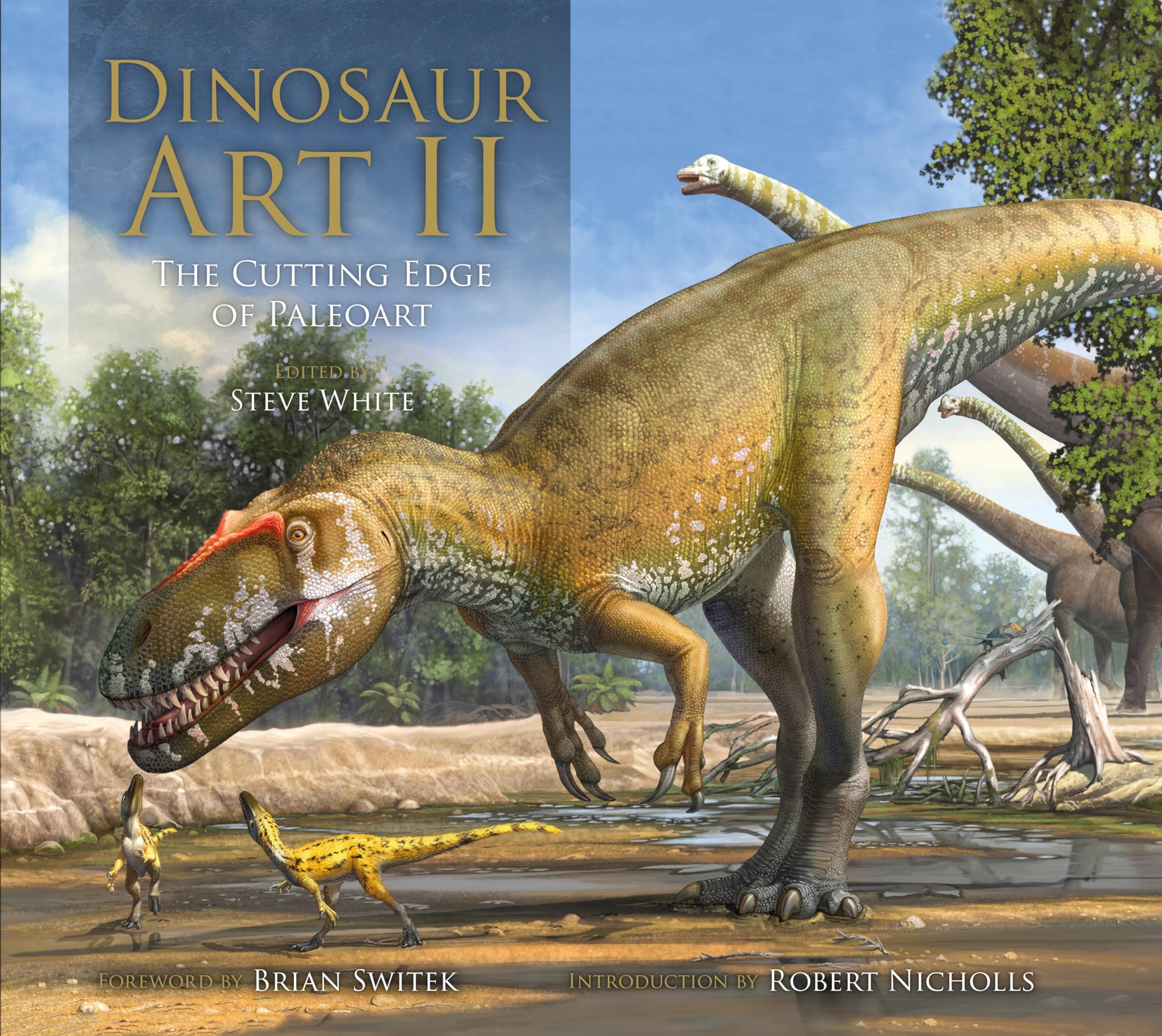 Product Image: Dinosaur Art II