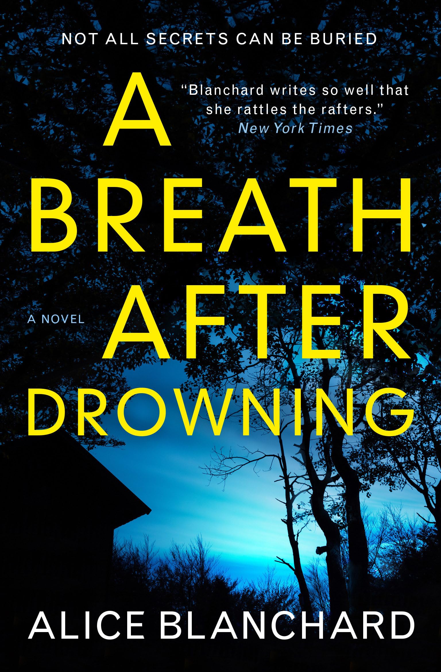 A Breath After Drowning Contemporary literature Books