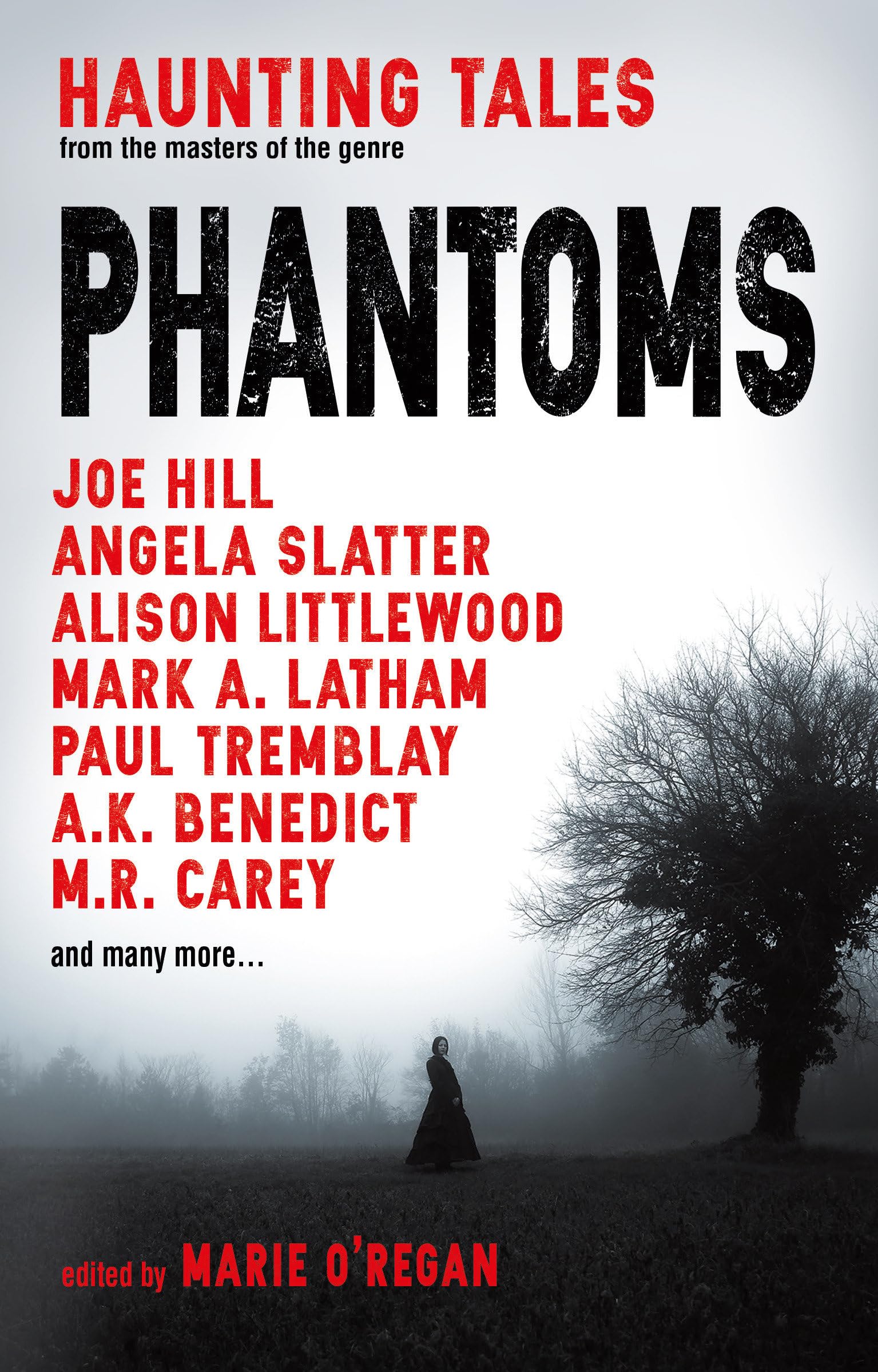 Phantoms: Haunting Tales from Masters of the Genre Contemporary literature