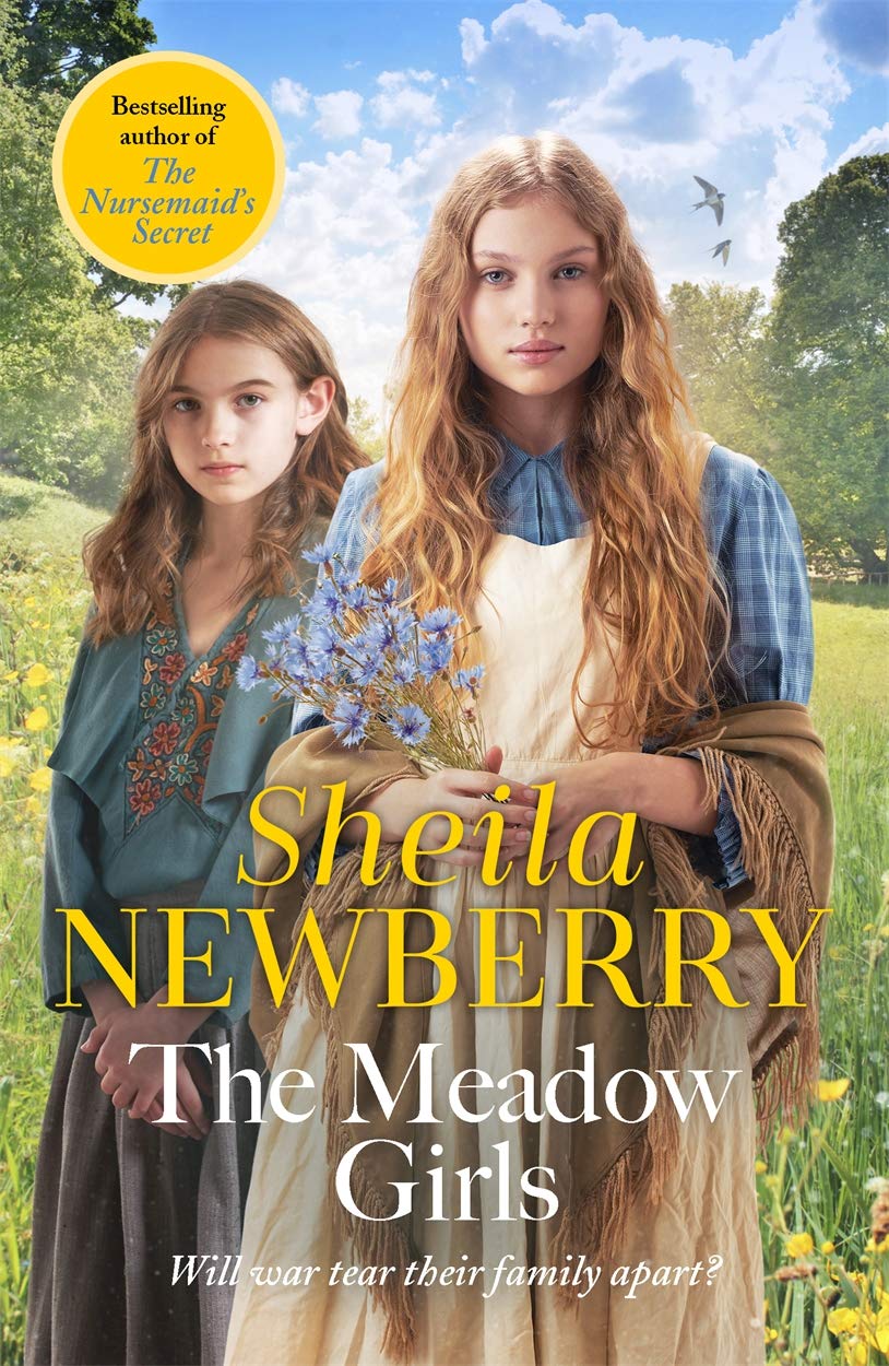 The Meadow Girls Contemporary literature