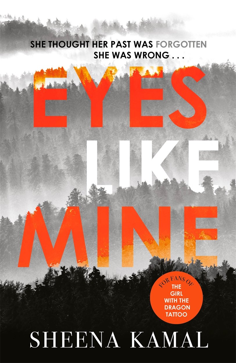 Eyes Like Mine: 'Utterly compelling . . . Will stay with you for a long, long time' Jeffery Deaver book