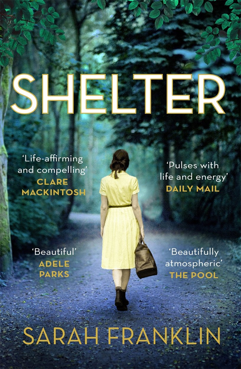 Shelter: 'One of the year's hottest debuts' Contemporary literature