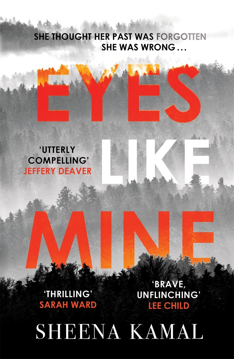 Eyes Like Mine: 'Utterly compelling . . . Will stay with you for a long, long time' Jeffery Deaver Contemporary literature
