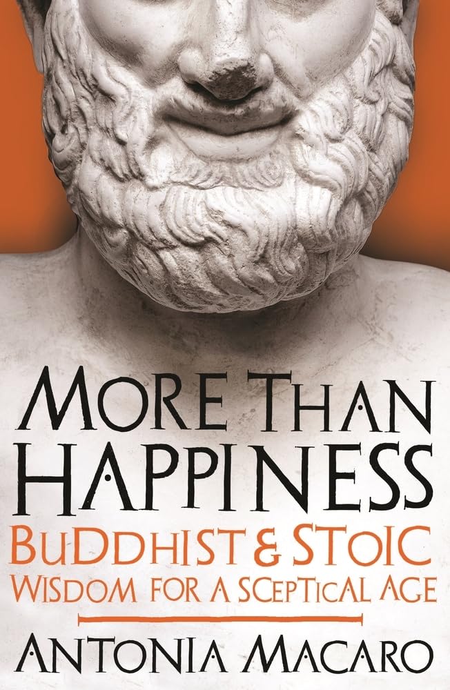 More Than Happiness: Buddhist and Stoic Wisdom for a Sceptical Age book