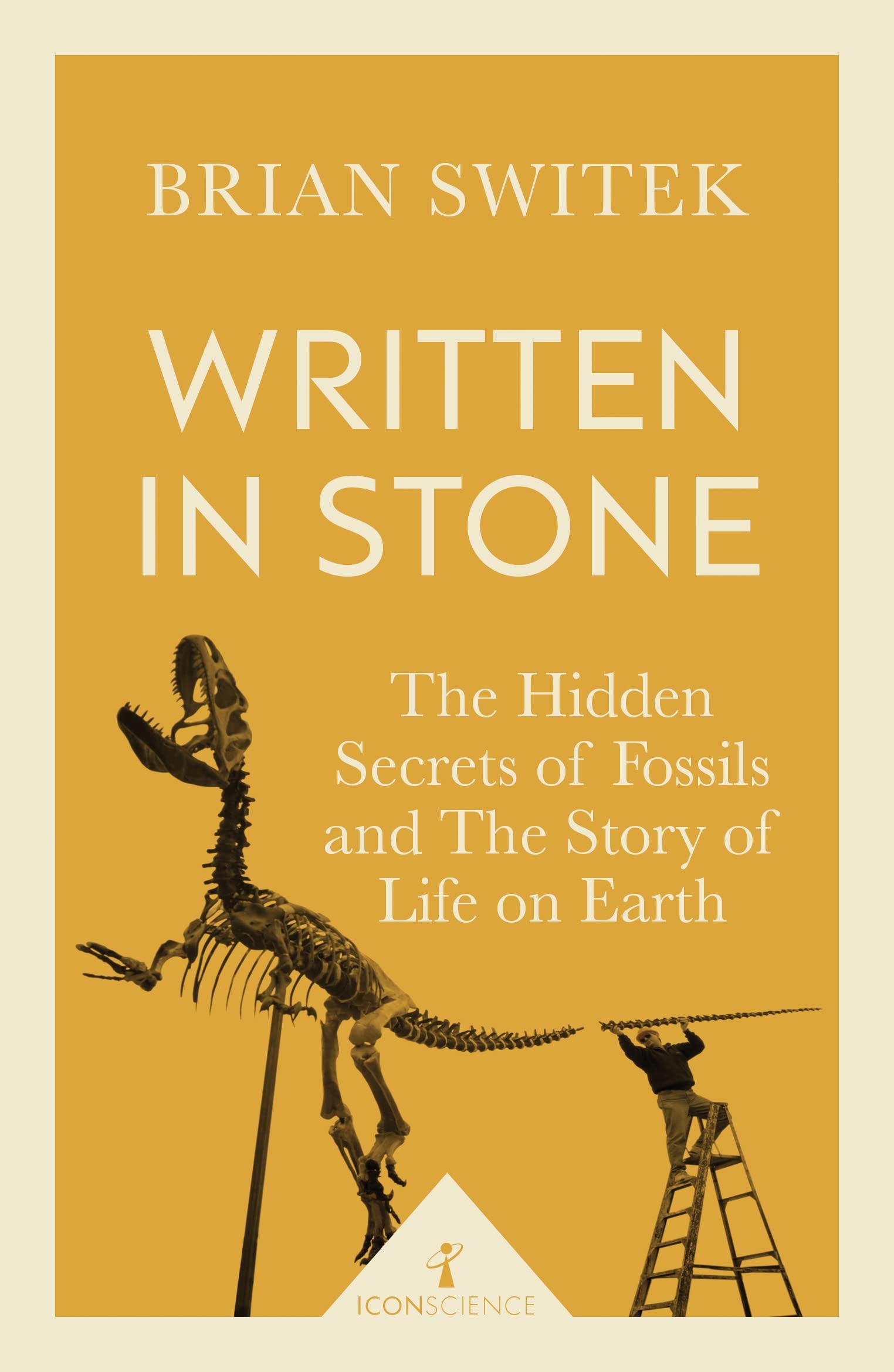 Written in Stone (Icon Science) Learning & Reference Books