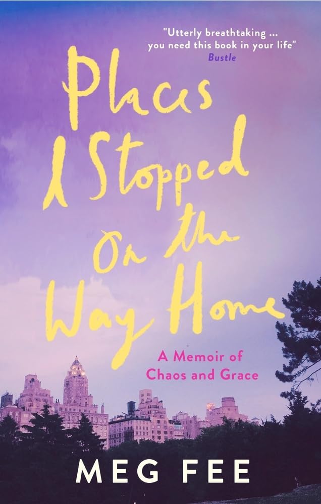 Places I Stopped on the Way Home: A Memoir of Chaos and Grace Art & Literature