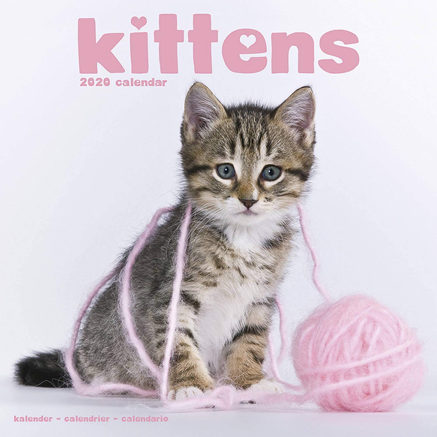 Product Image: Kittens Calendar 2020