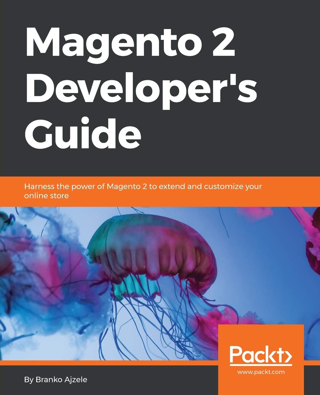 Magento 2 Developers Guide Computer Science