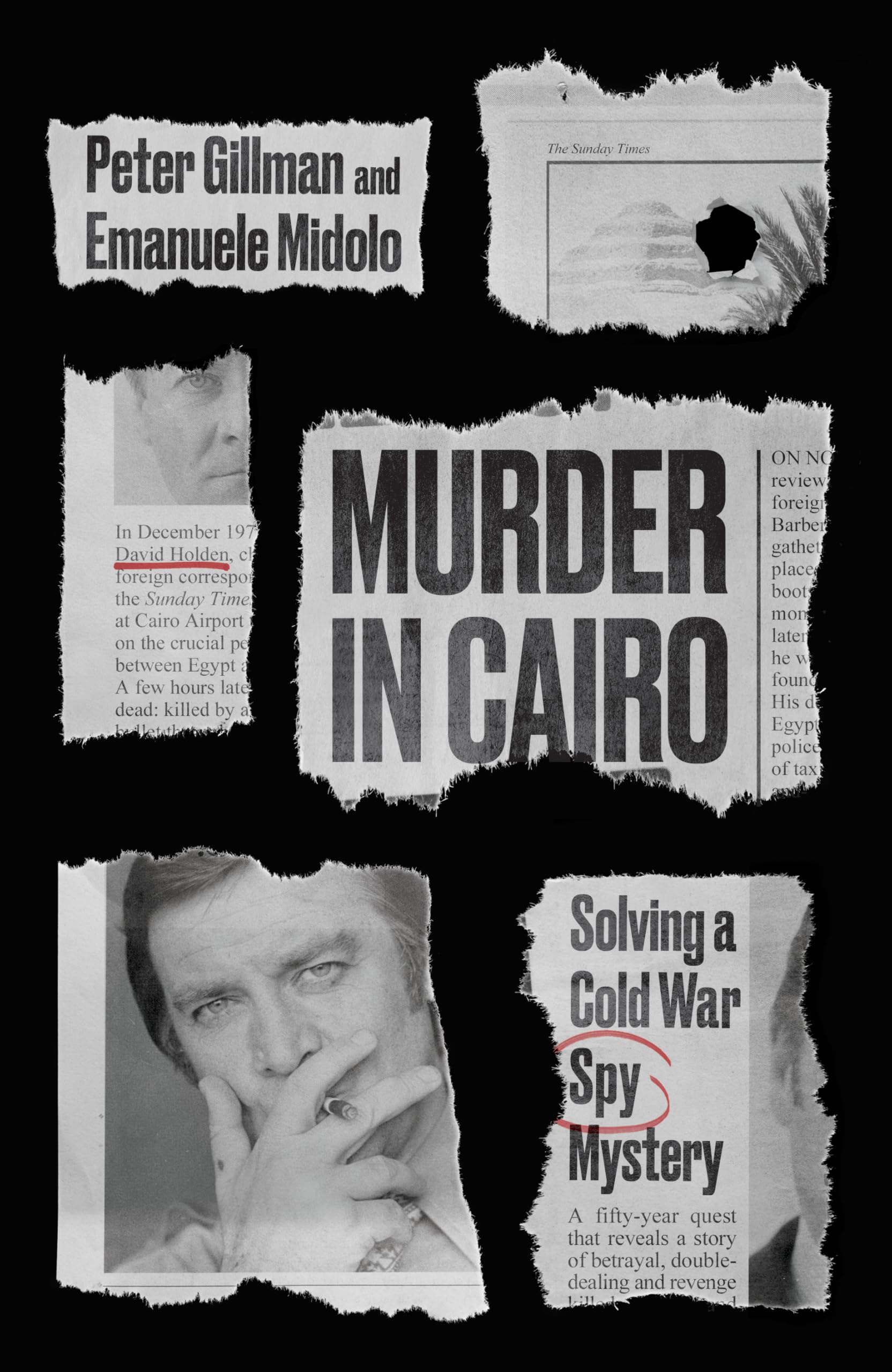 Murder in Cairo: Solving a Cold War Spy Mystery (Murder in Cairo: The Killing of David Holden) Politics & Society