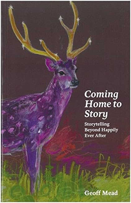 Coming Home to Story: Storytelling Beyond Happily Ever After Business, Finance & Career