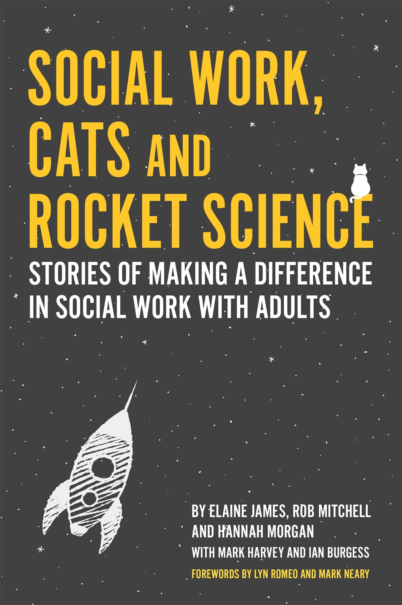 Social Work, Cats and Rocket Science: Stories of Making a Difference in Social Work With Adults Social Sciences