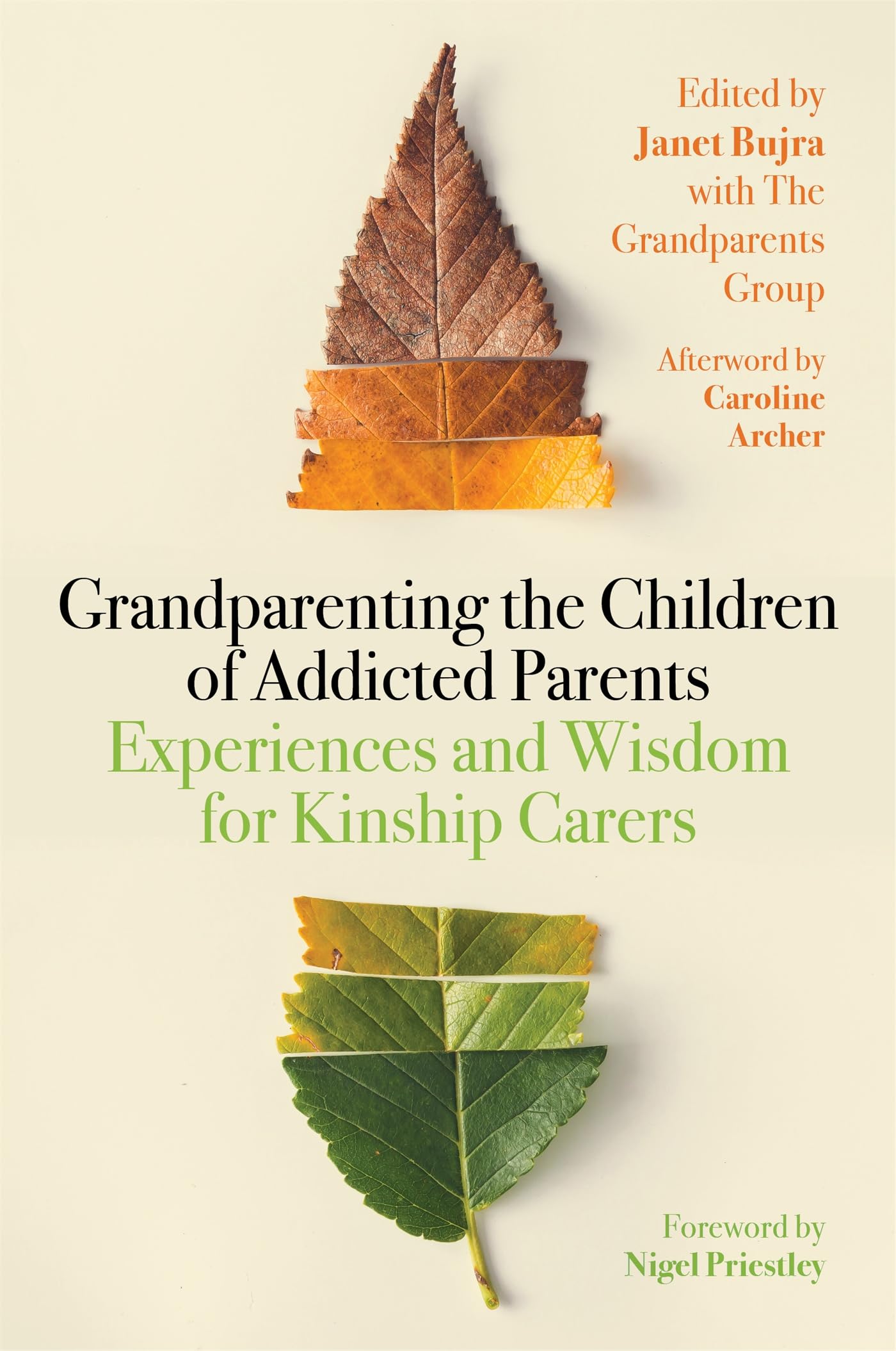 Grandparenting the Children of Addicted Parents: Experiences and Wisdom for Kinship Carers Social Sciences
