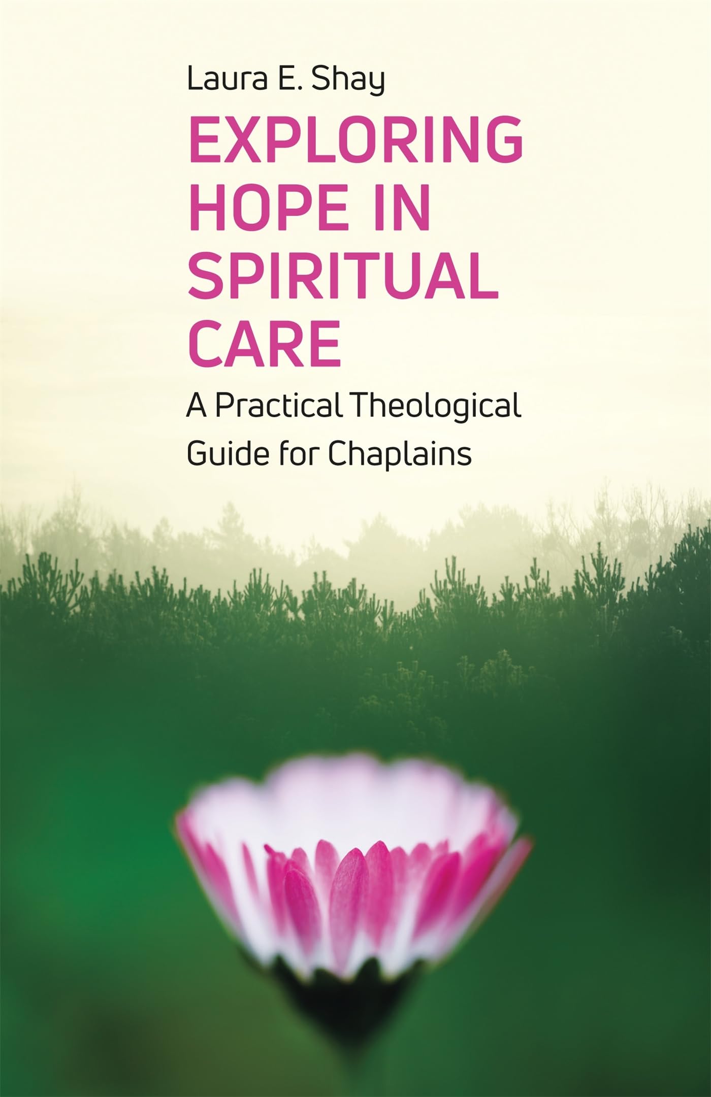 Exploring Hope in Spiritual Care: A Practical Theological Guide for Chaplains Social Sciences