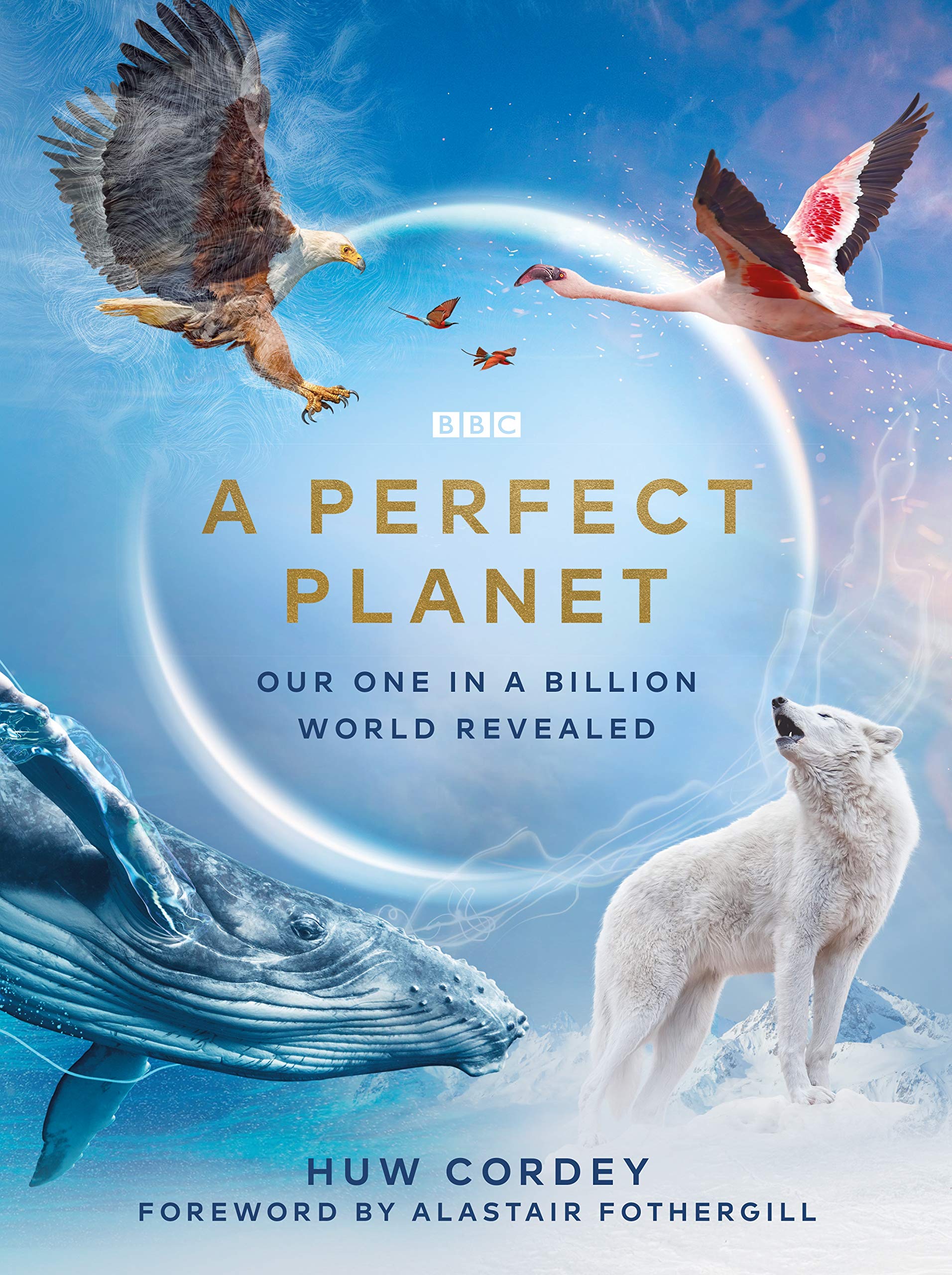 A Perfect Planet: Our One in a Billion World Revealed Mathematics