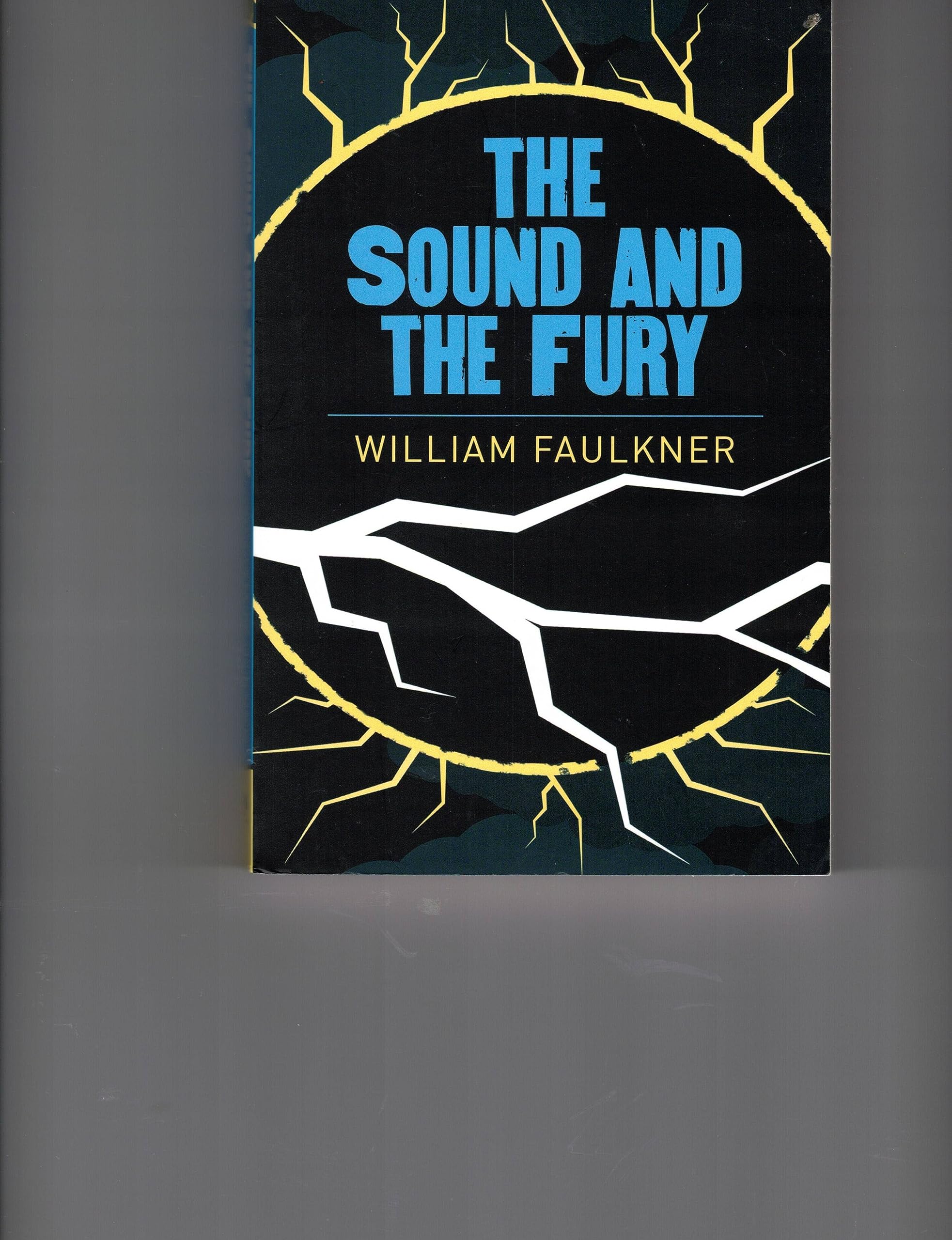The Sound and the Fury book
