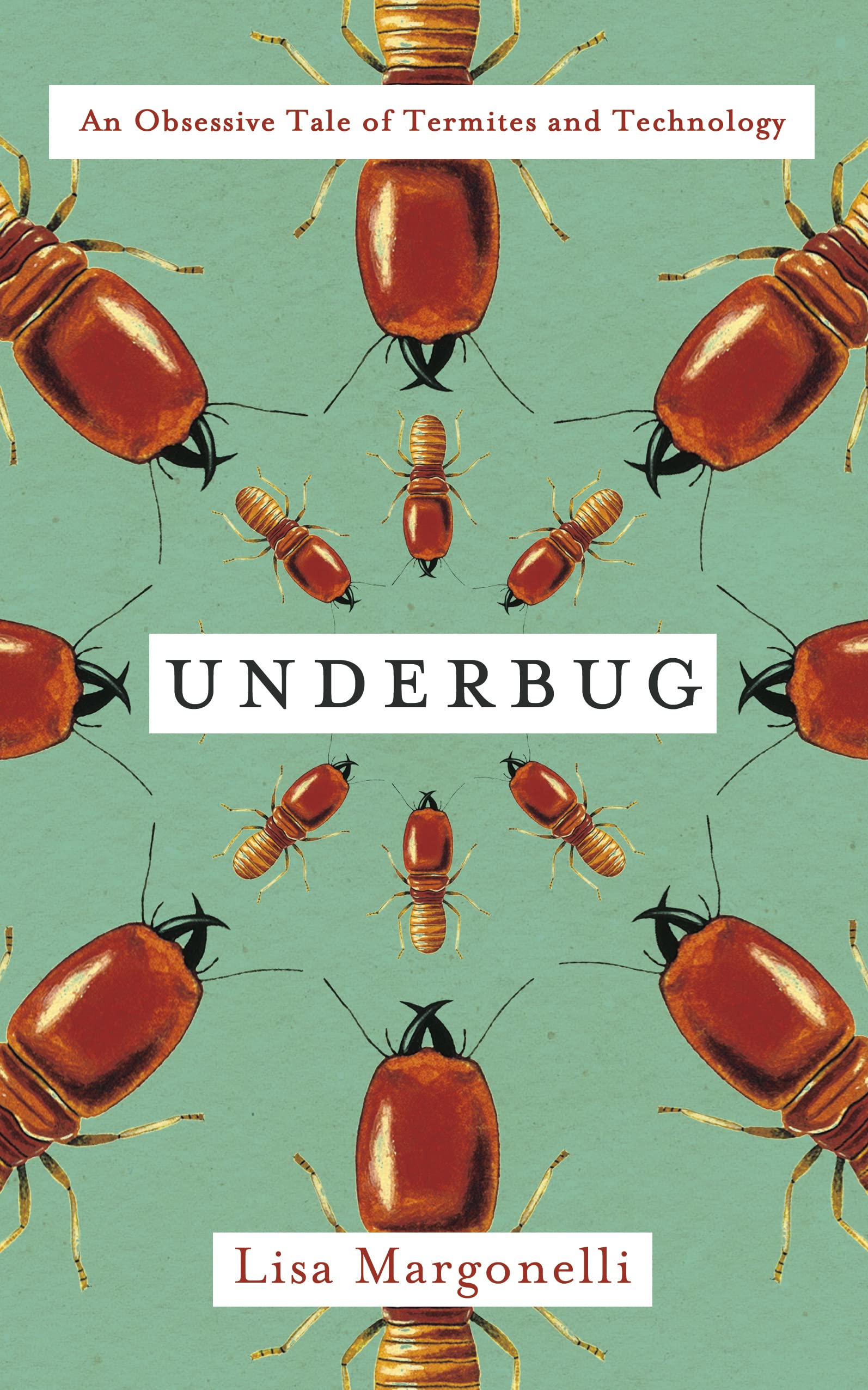 Underbug Mathematics