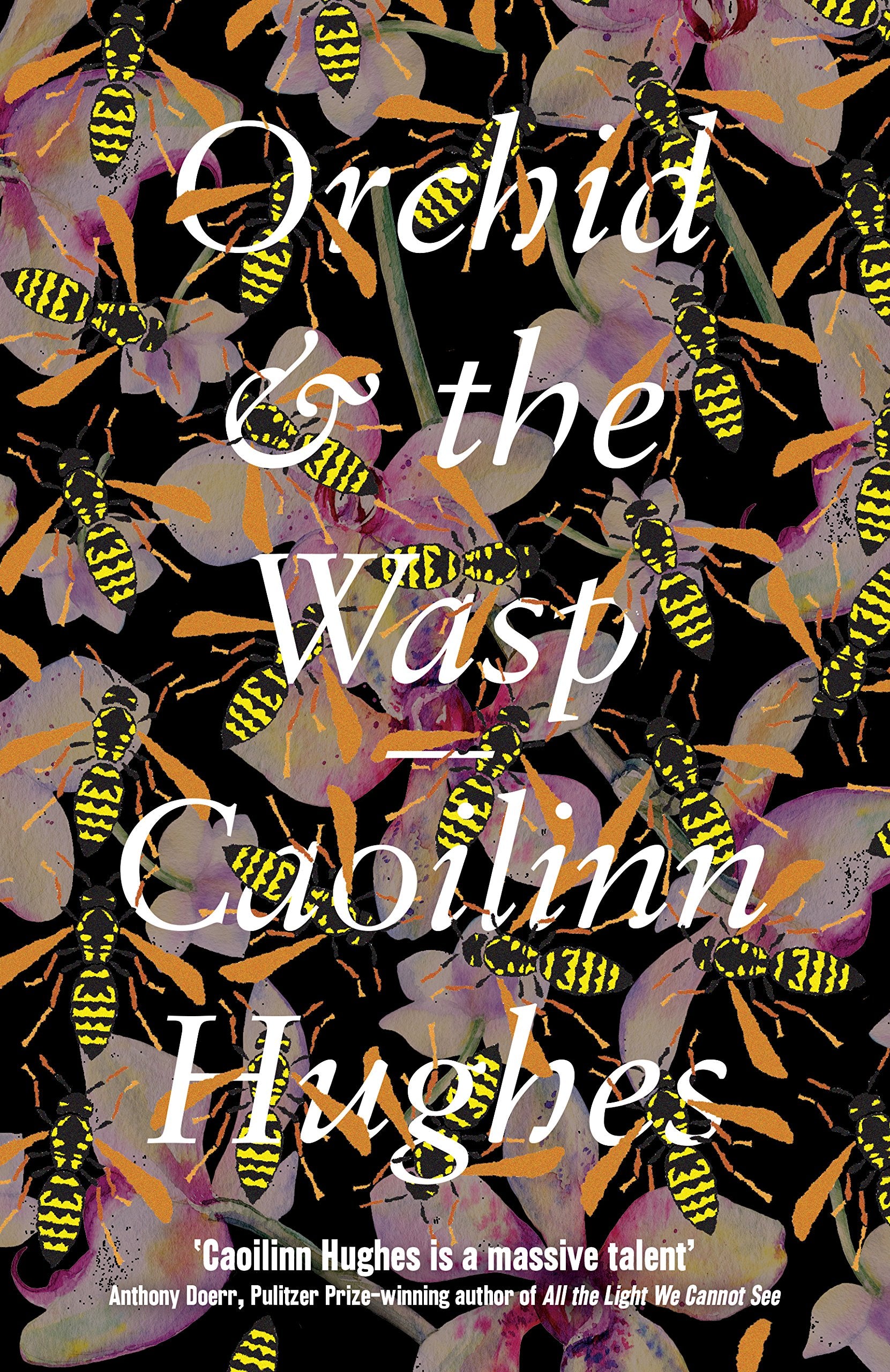 Orchid & the Wasp: 'This year’s Conversations with Friends' Irish Times Contemporary literature