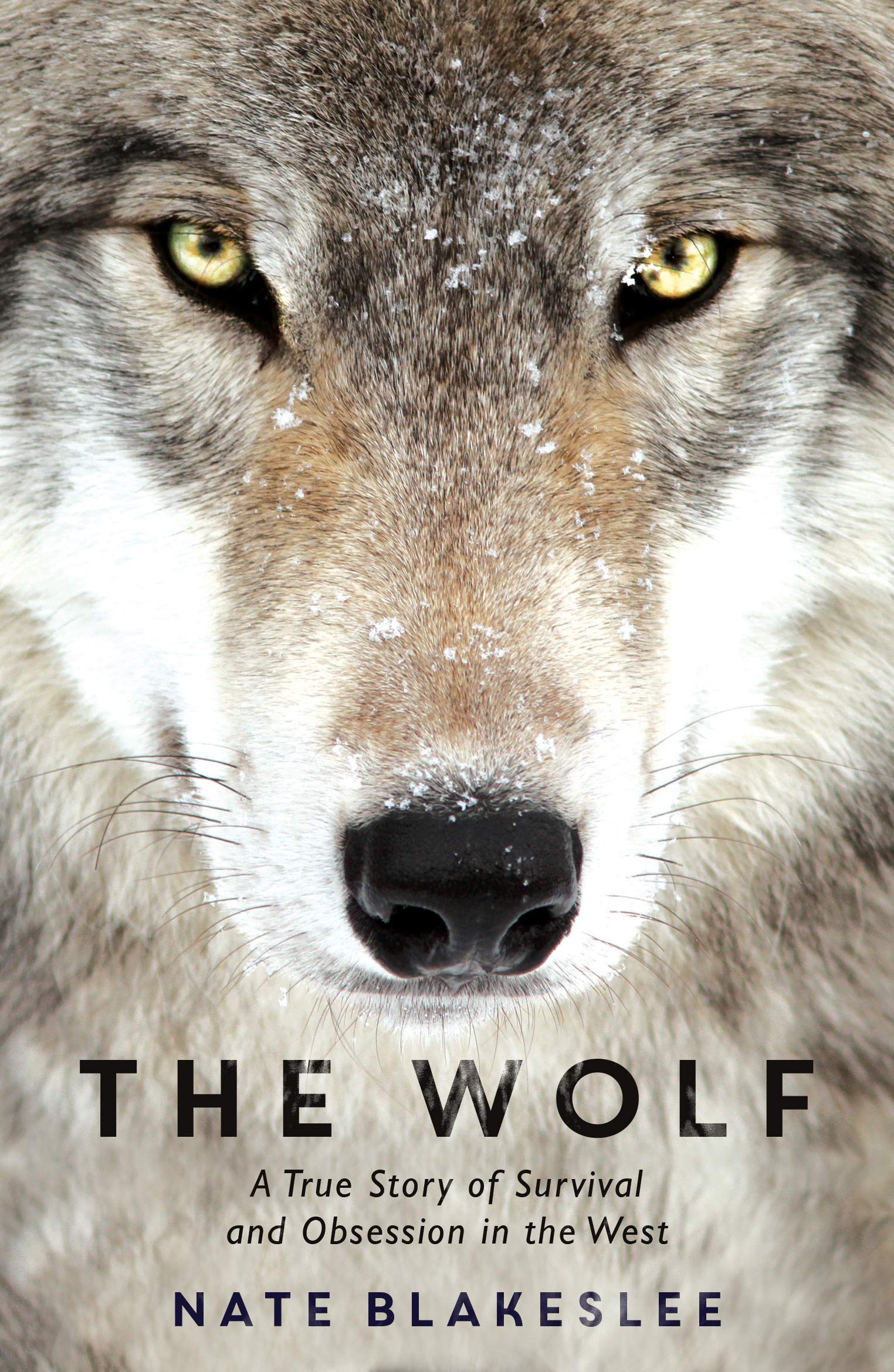 The Wolf Fiction