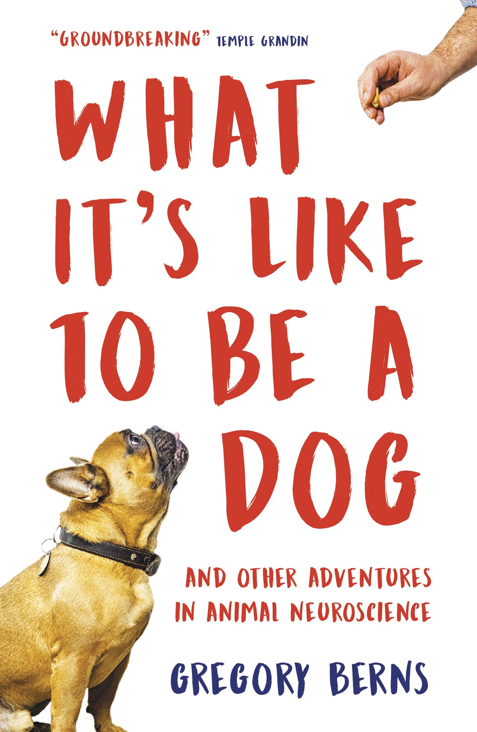 What It's Like to Be a Dog: And Other Adventures in Animal Neuroscience Medicine