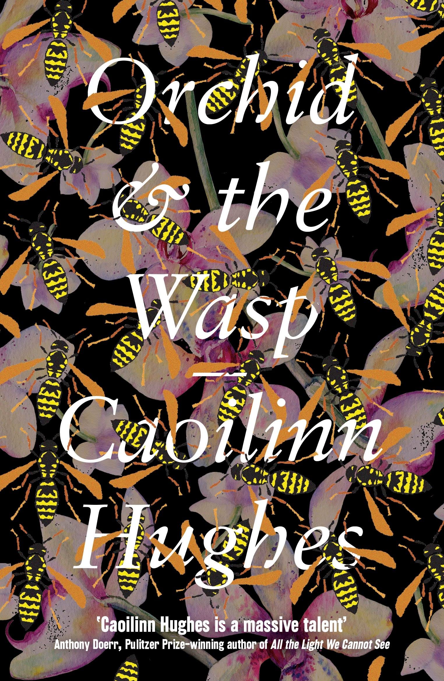 Product Image: Orchid & the Wasp