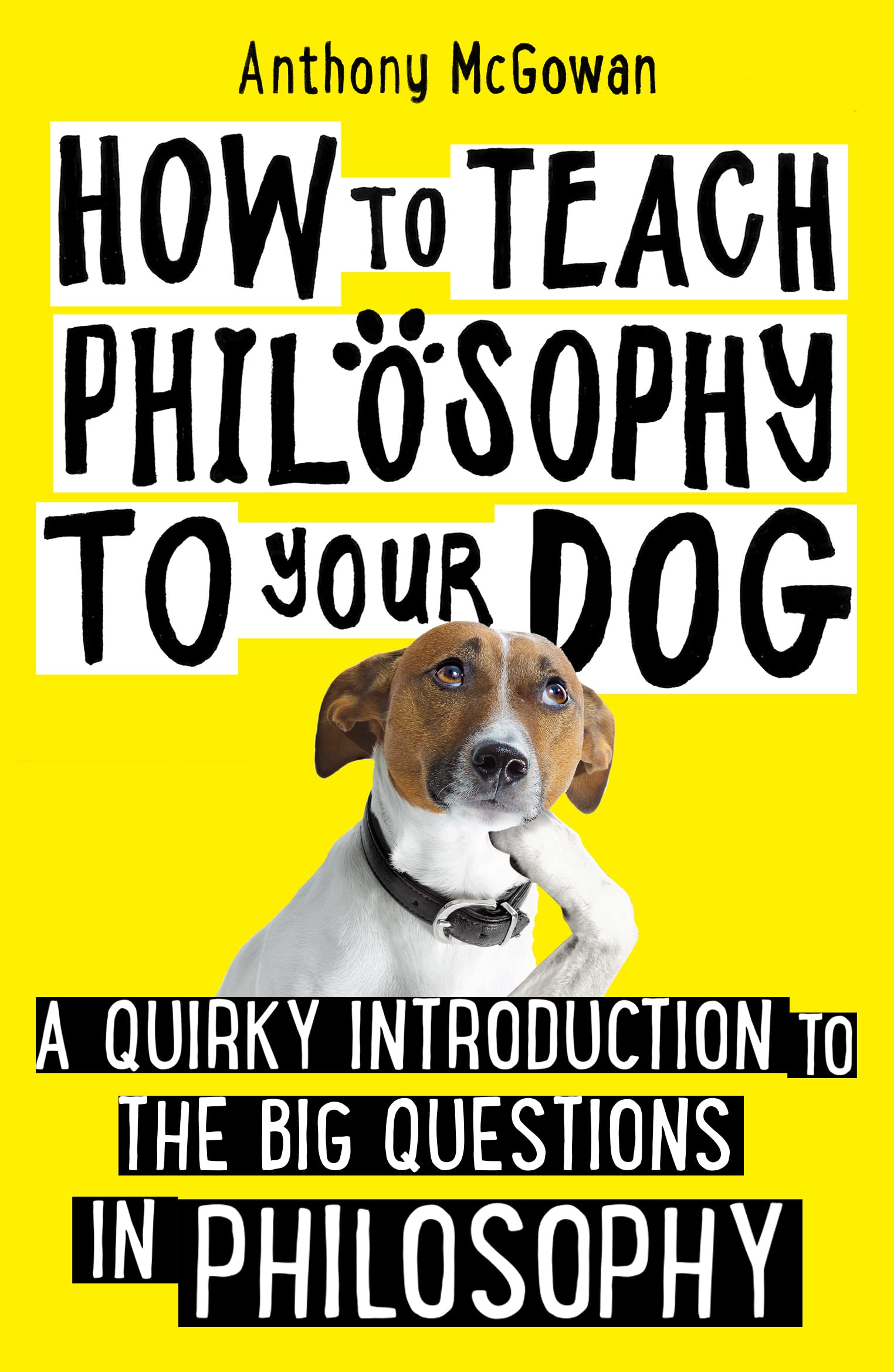 How to Teach Philosophy to Your Dog: A Quirky Introduction to the Big Questions in Philosophy Philosophy