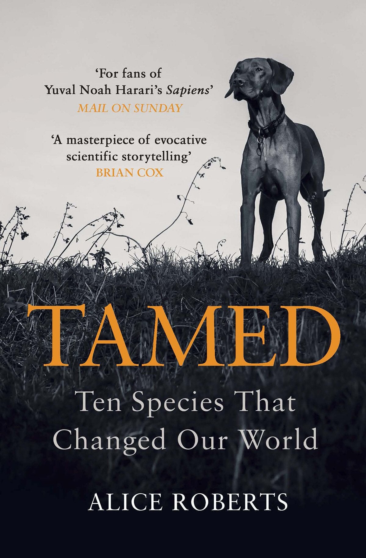 Tamed Social Sciences