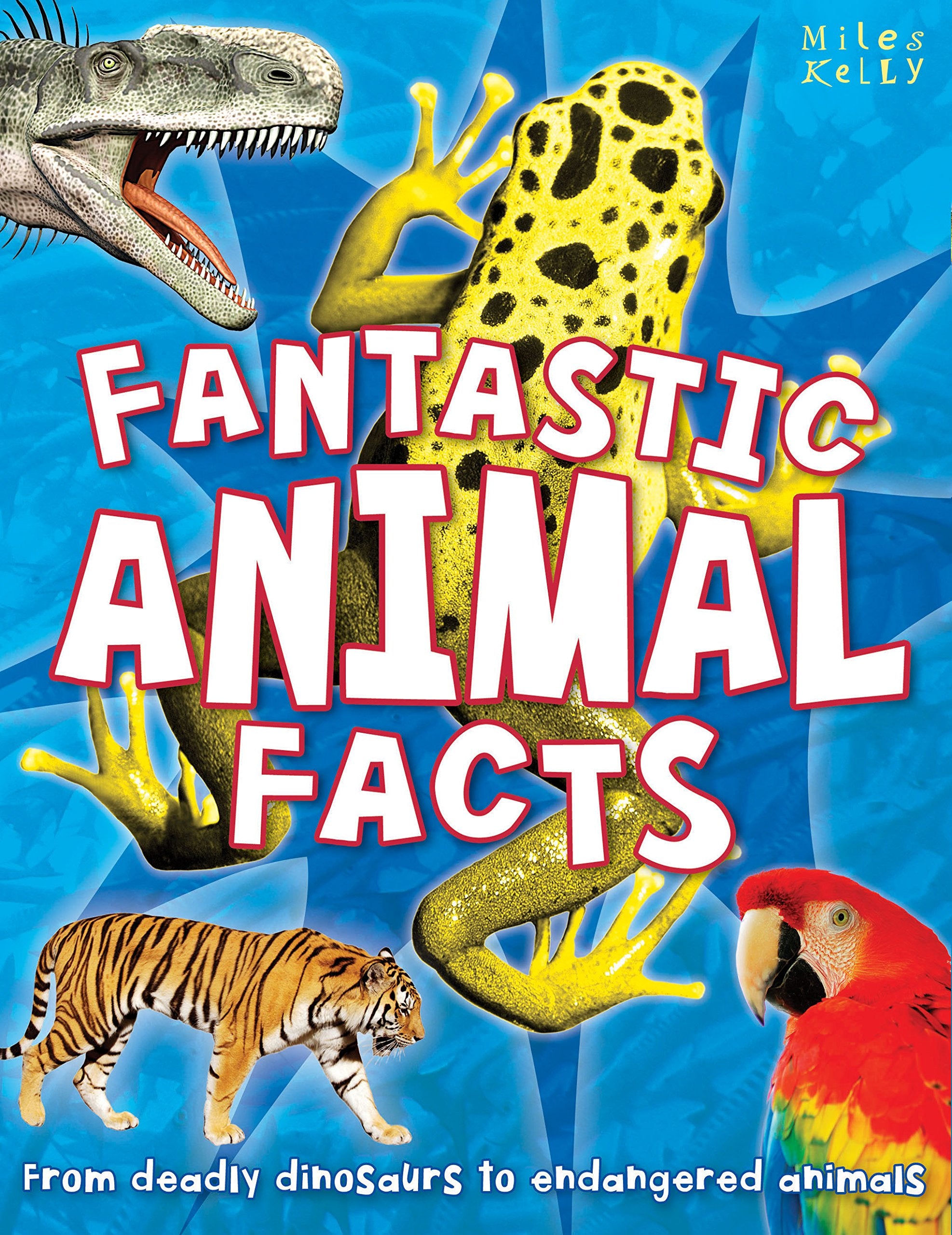 B384 Fantastic Animal Facts Books