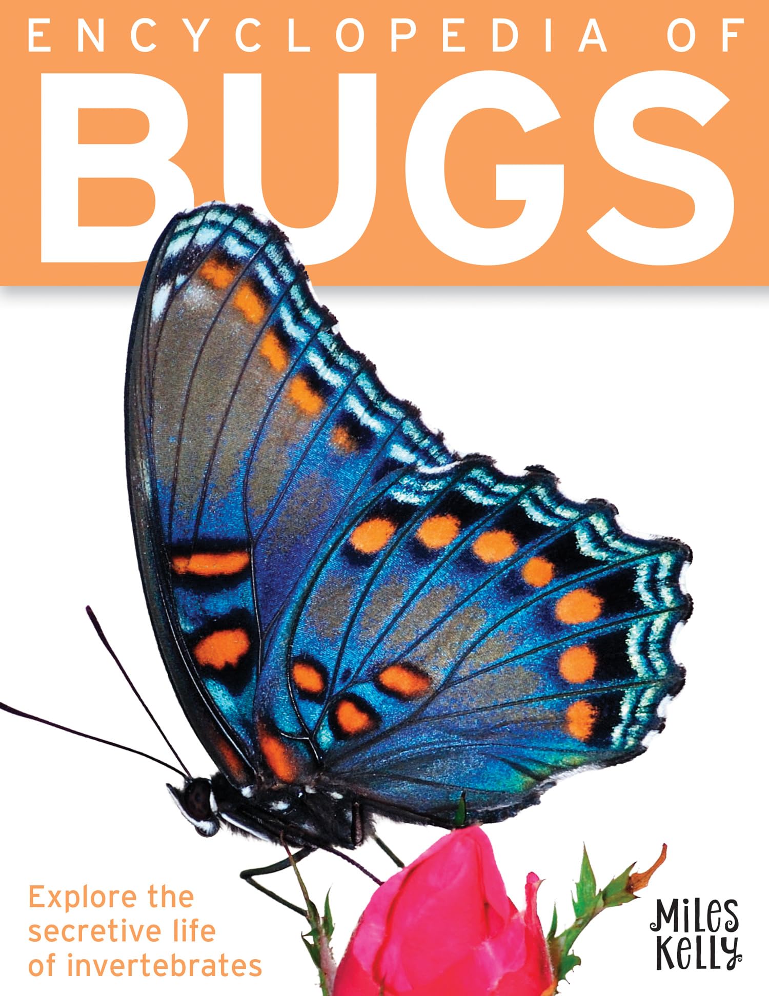 Product Image: Encyclopedia of Bugs